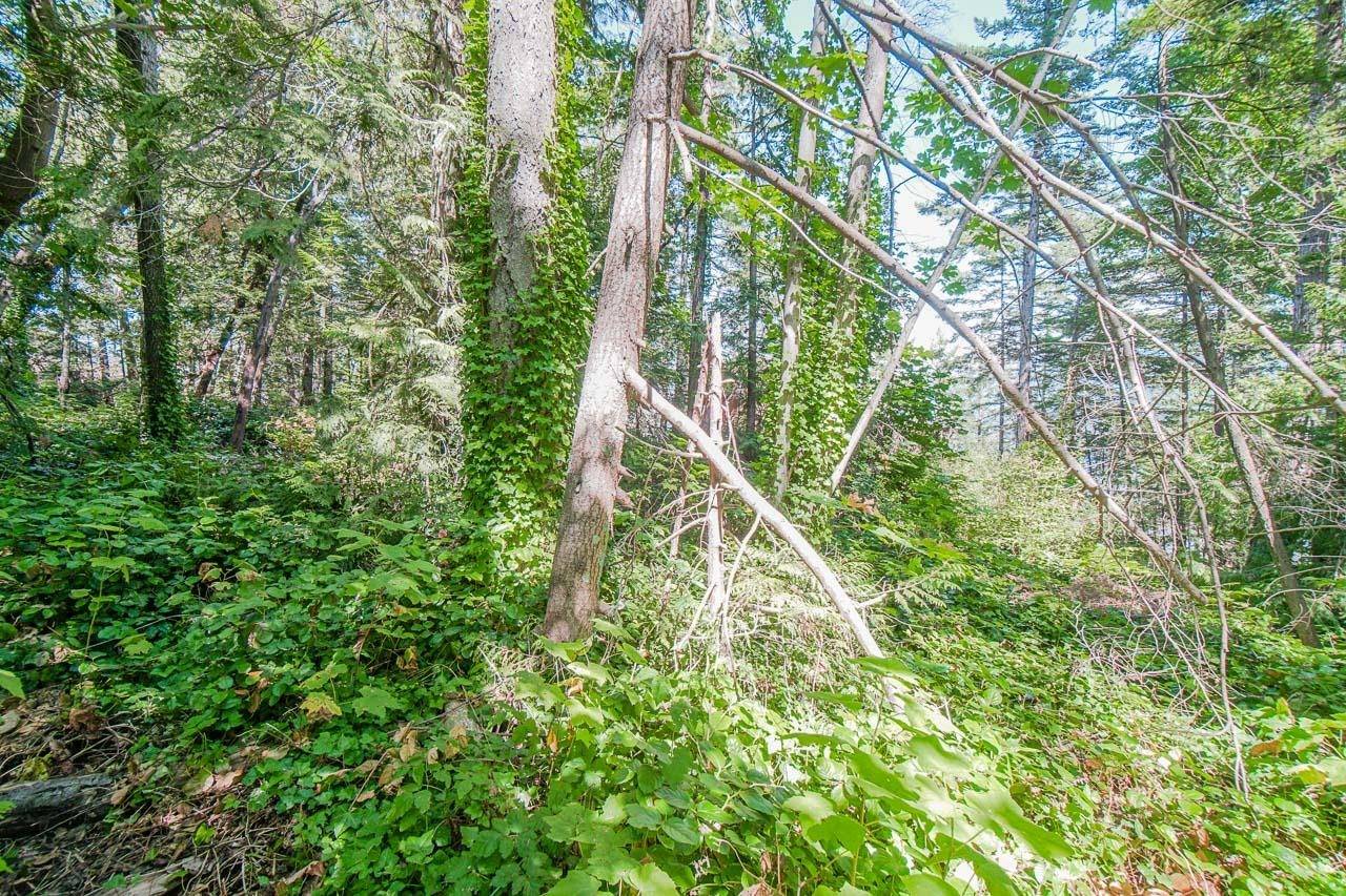 West Vancouver, BC V7W 1V7,16 Passage IS