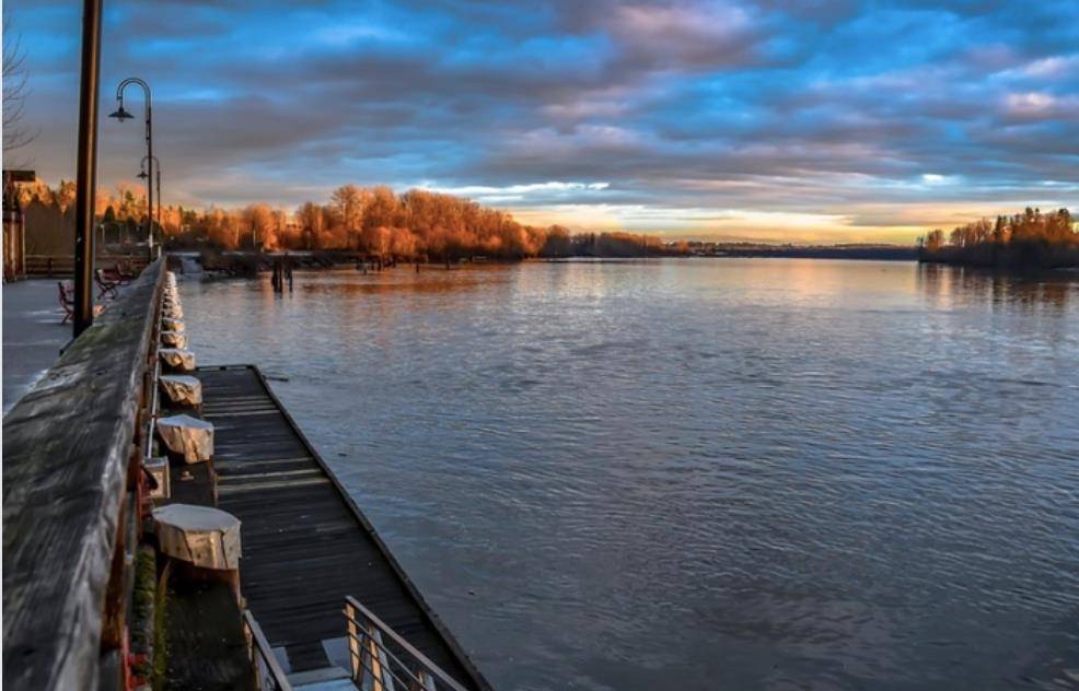 Maple Ridge, BC V2X 9G3,11709 Brookmere CT