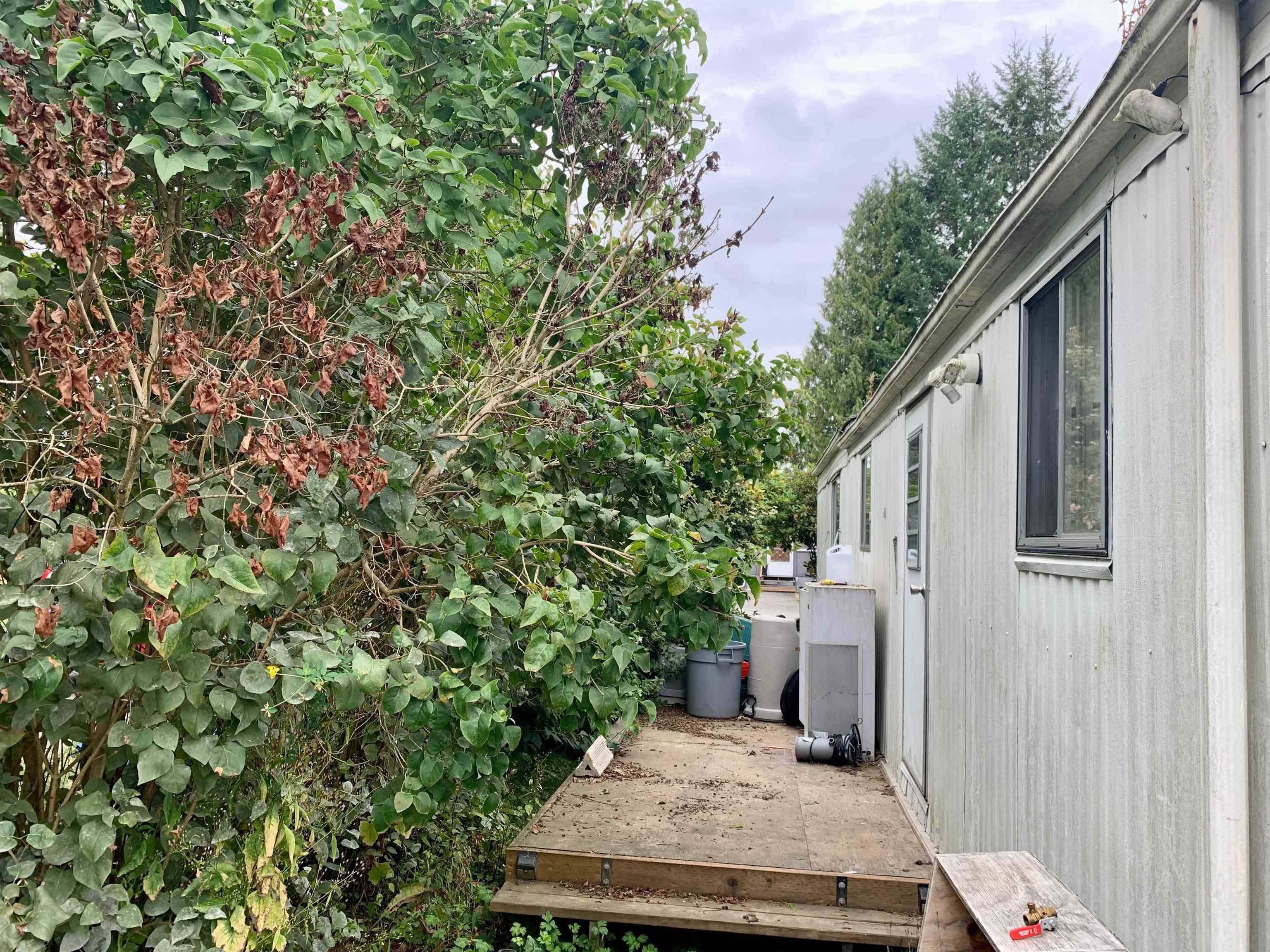 Langley, BC V2Y 2J2,23387 70a AVE #11