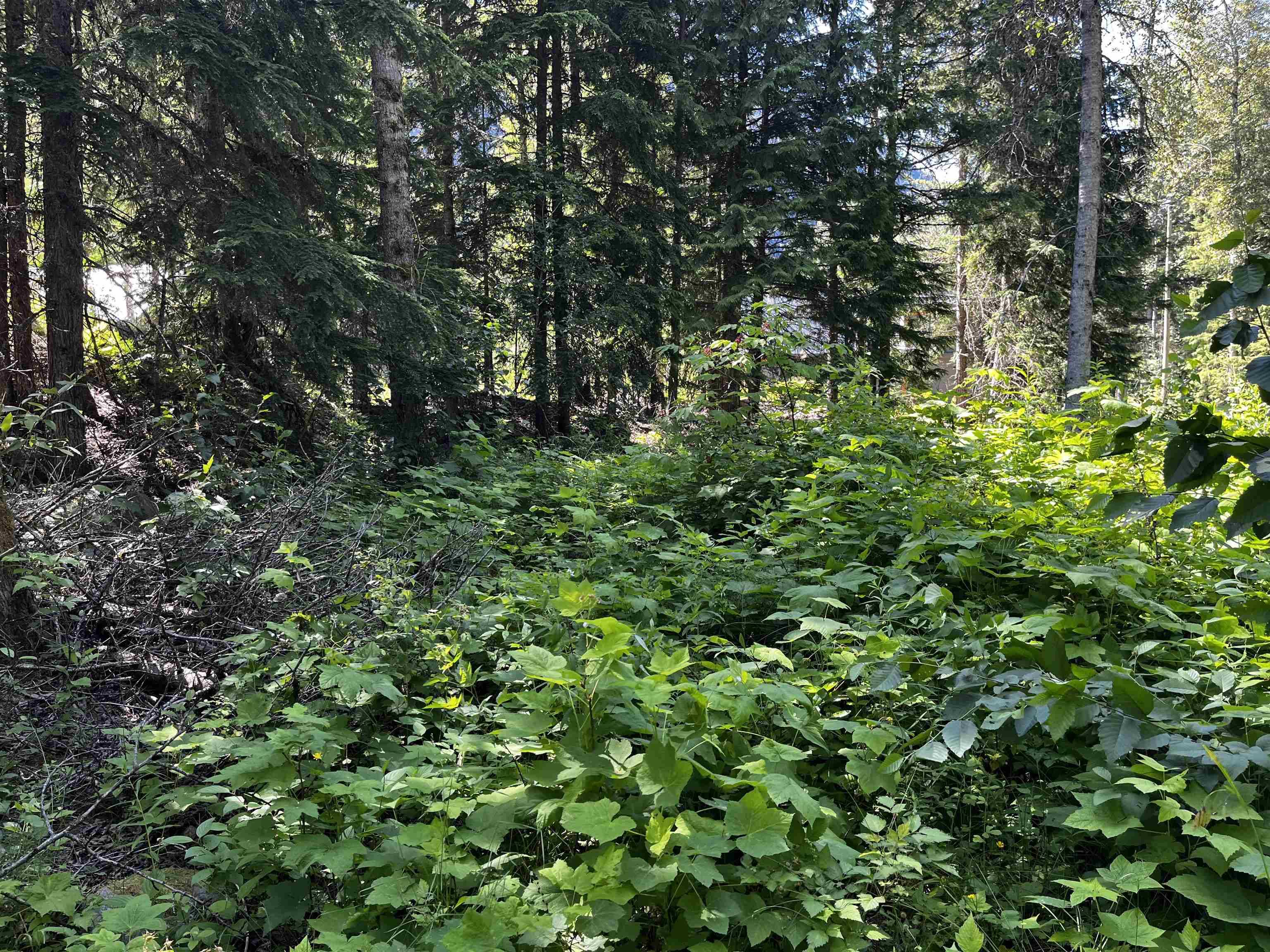 Sunshine Valley, BC V0X 1L5,SVE24 Old Hope Princeton HWY