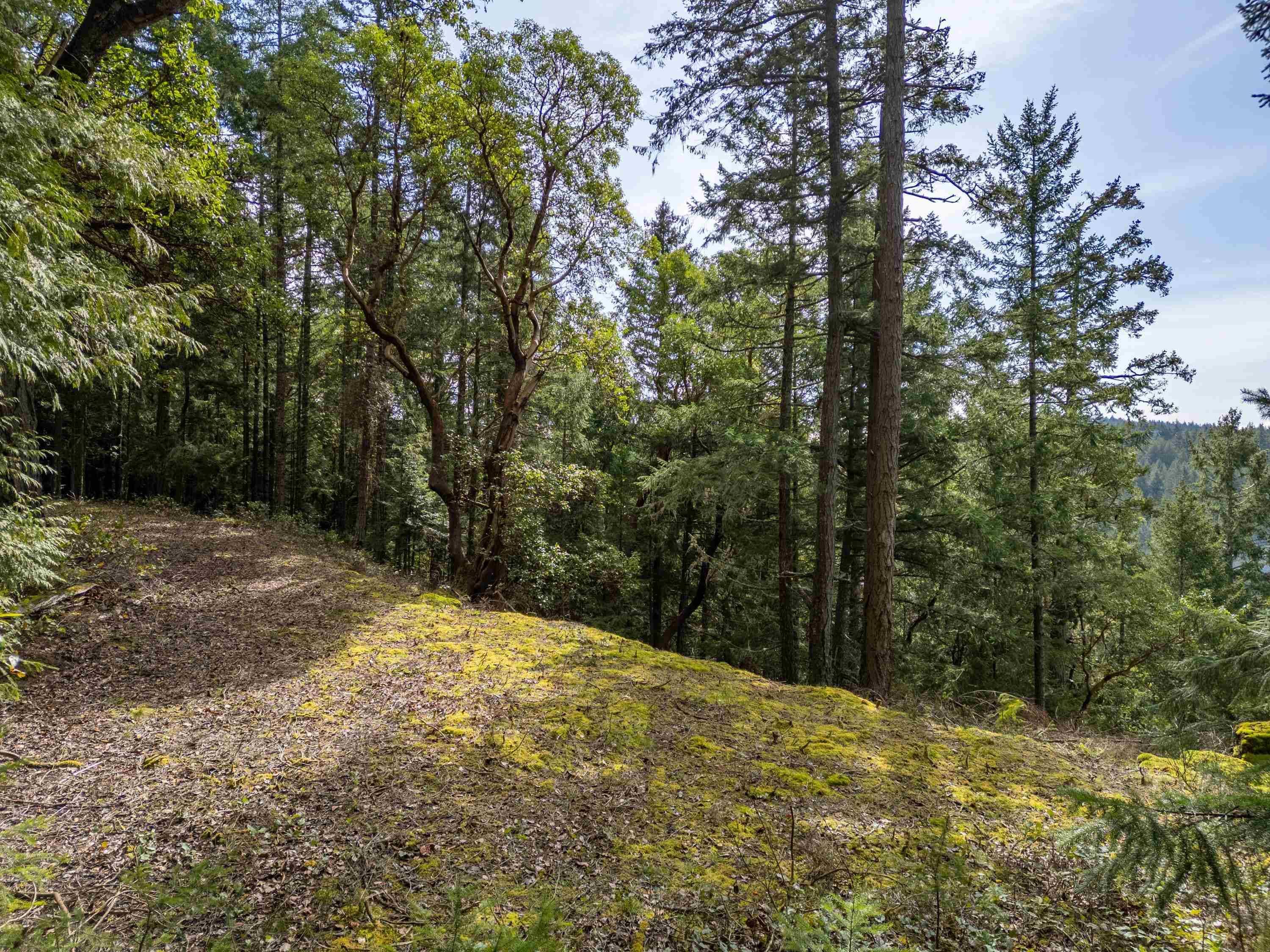 Galiano Island, BC V0N 1P0,2564 Montague RD