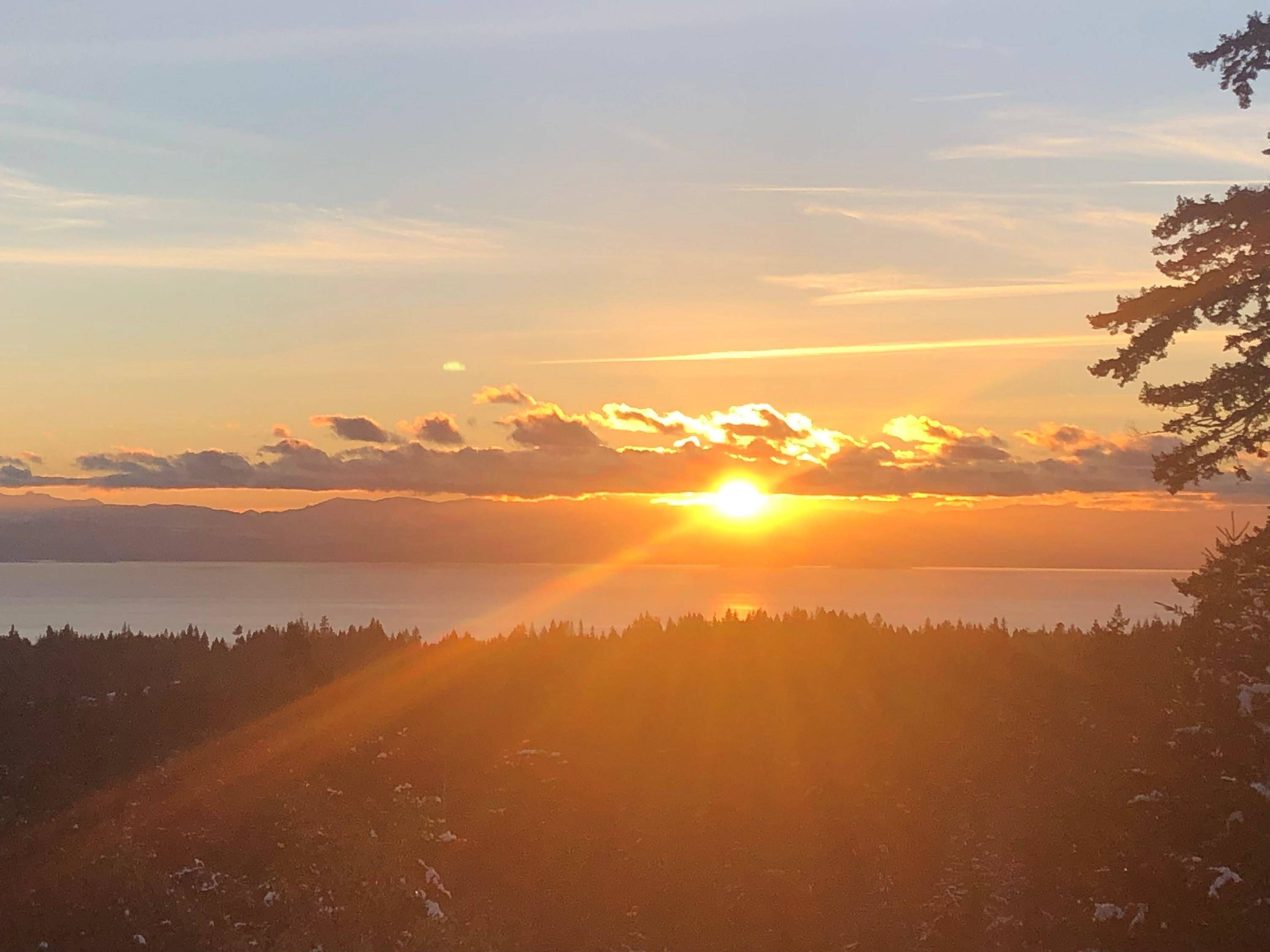 Halfmoon Bay, BC V7Z 1C2,6016 Leaning Tree RD