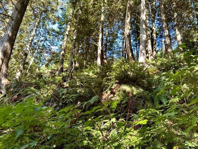 Britannia Beach, BC V8B 1J2,1010 Quarry LN