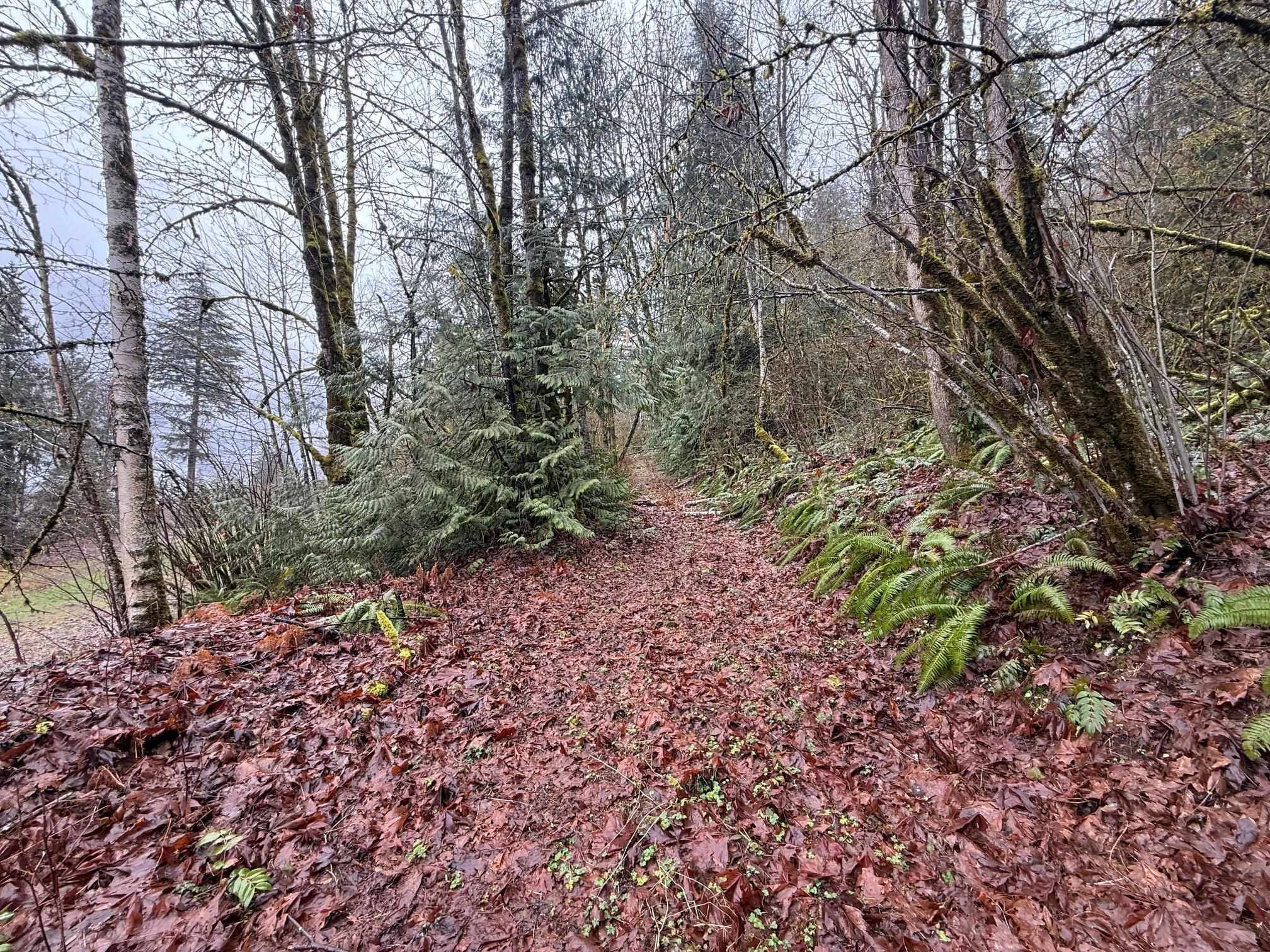 Hope, BC V0X 1L1,65936 Kawkawa Lake RD