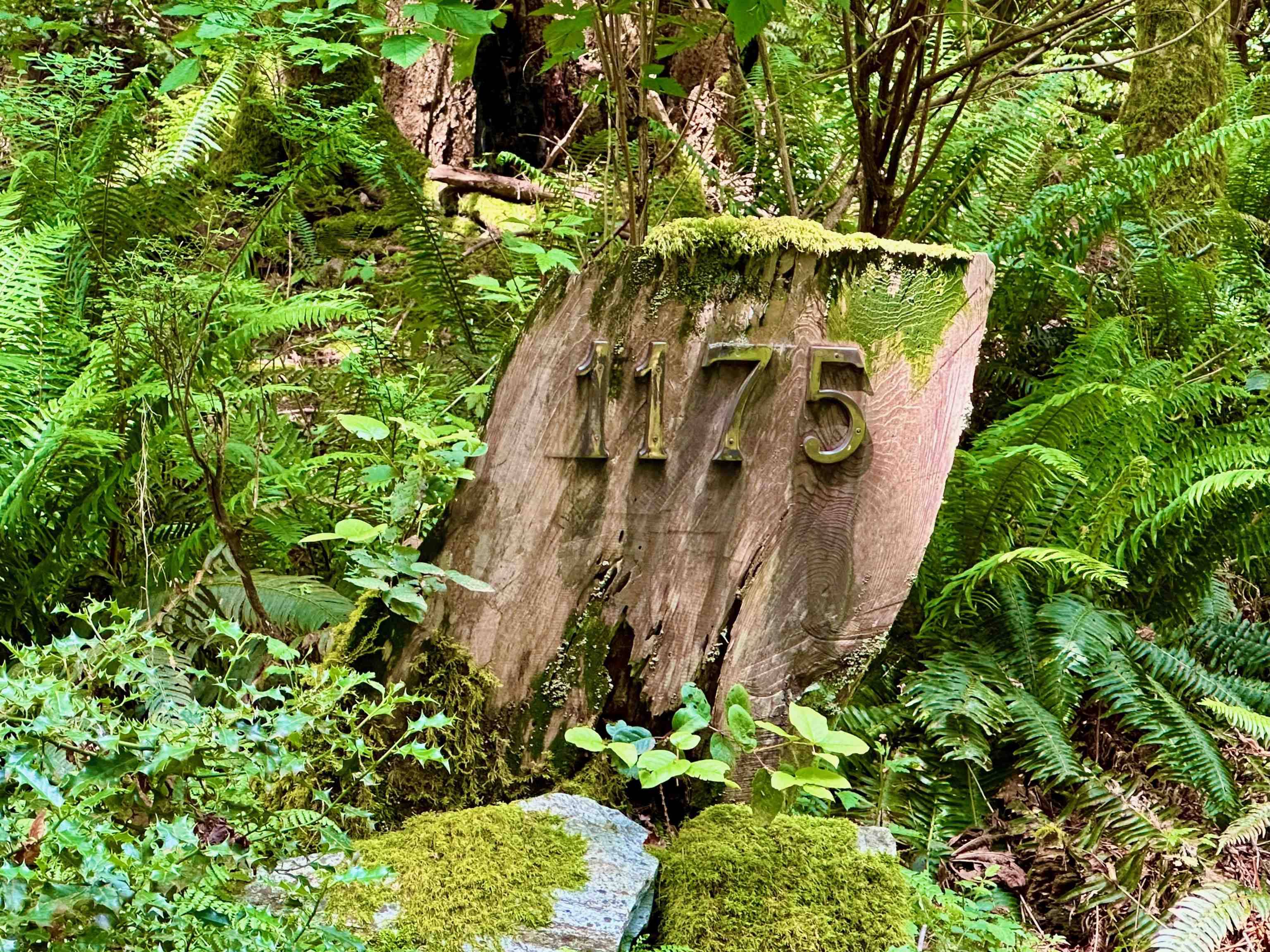 No City Value, BC V0R 1Z0,1175 Sollans RD #Hornby