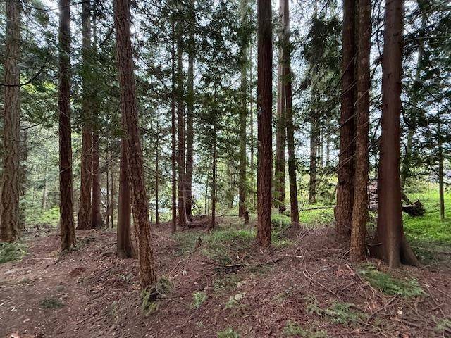 Gibsons, BC A9A 9A9,Elphinstone AVE #Lot 10