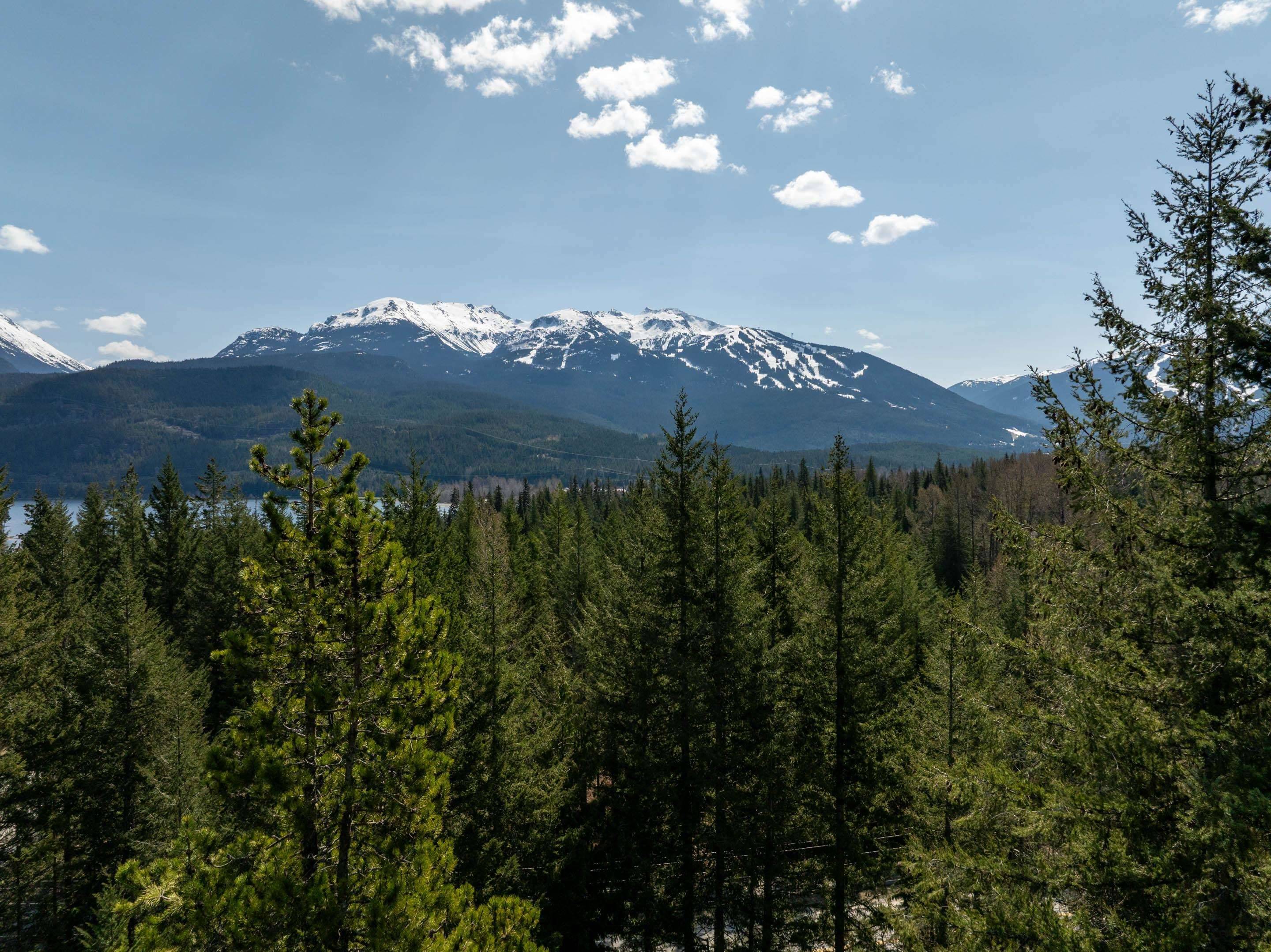 Whistler, BC V8E 0G3,8214 Mountain View DR
