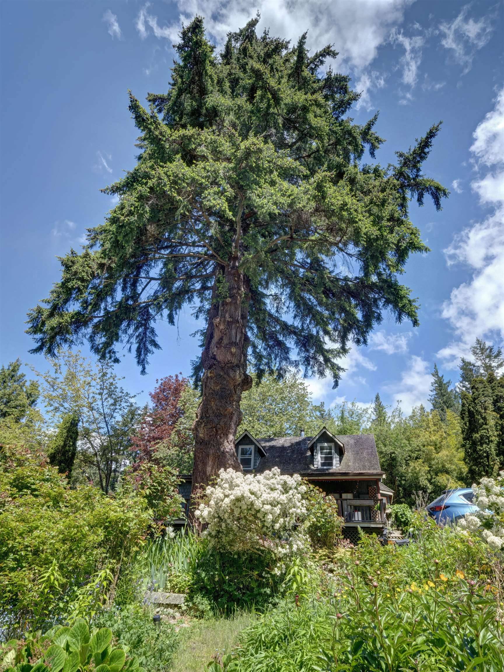 Roberts Creek, BC V0N 2W4,2602 Lower RD