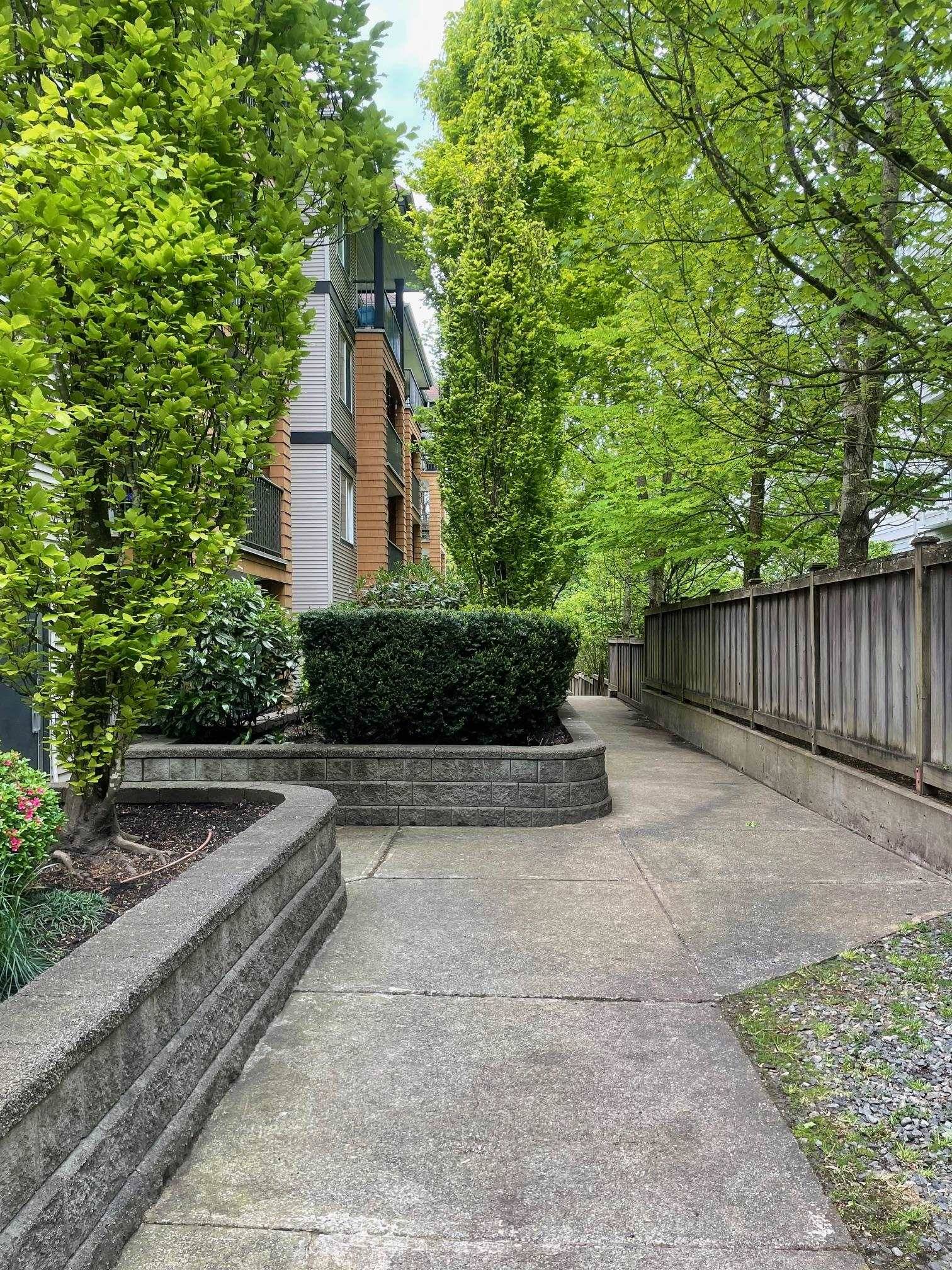 Maple Ridge, BC V2X 6B9,12207 224 ST #311