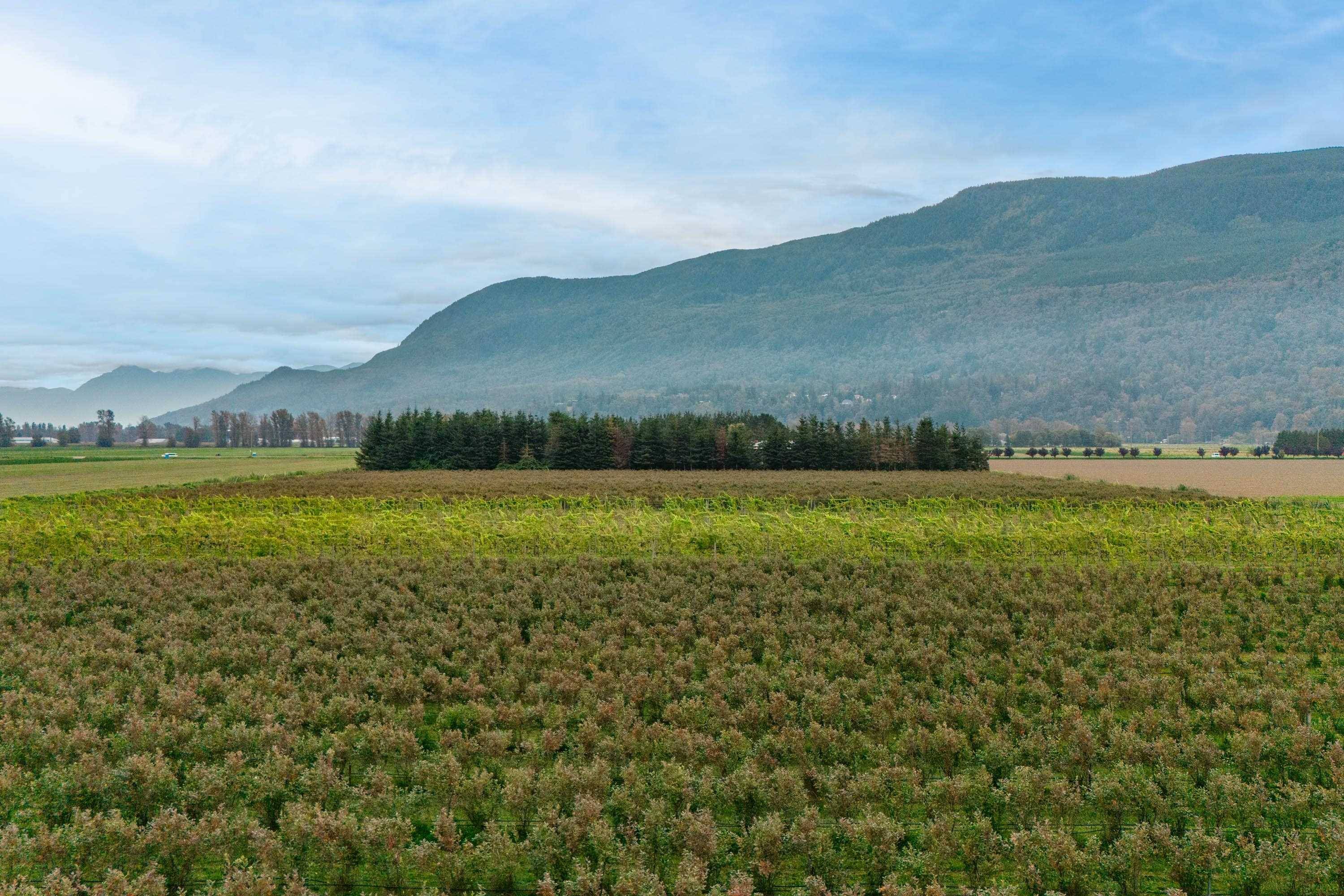 Abbotsford, BC V3G 2T9,3387 Tolmie RD