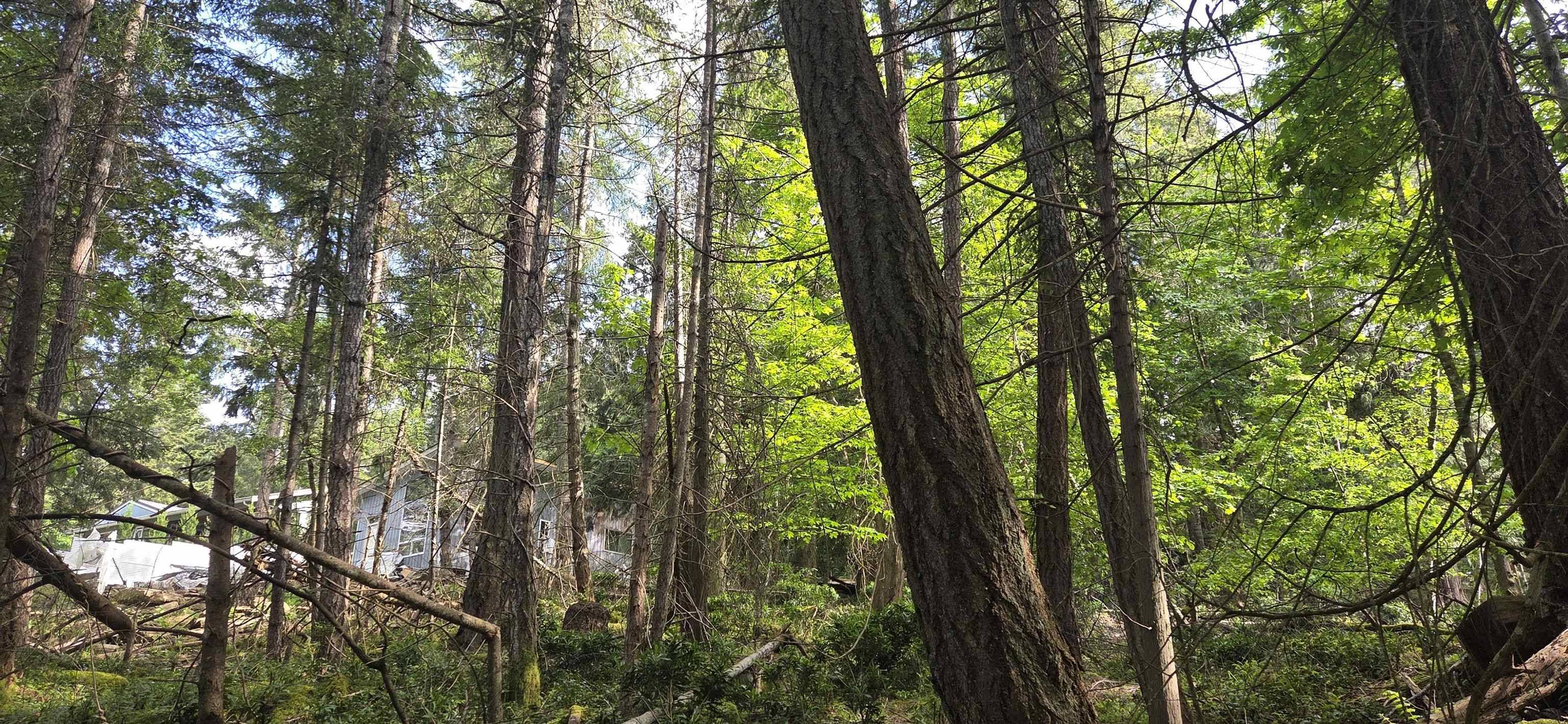 Mayne Island, BC V0N 2J2,242 Mariners WAY