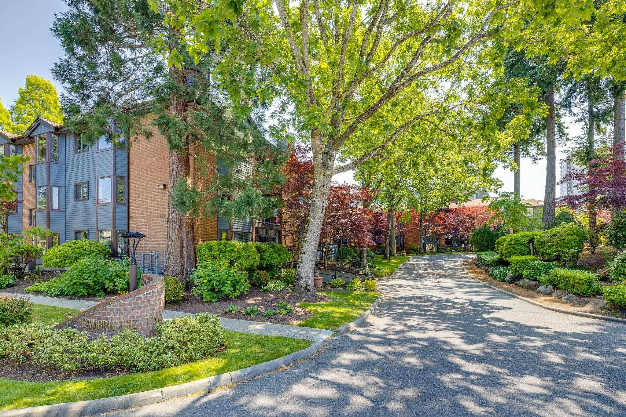 Surrey, BC V4A 8Y6,15300 17 AVE #317