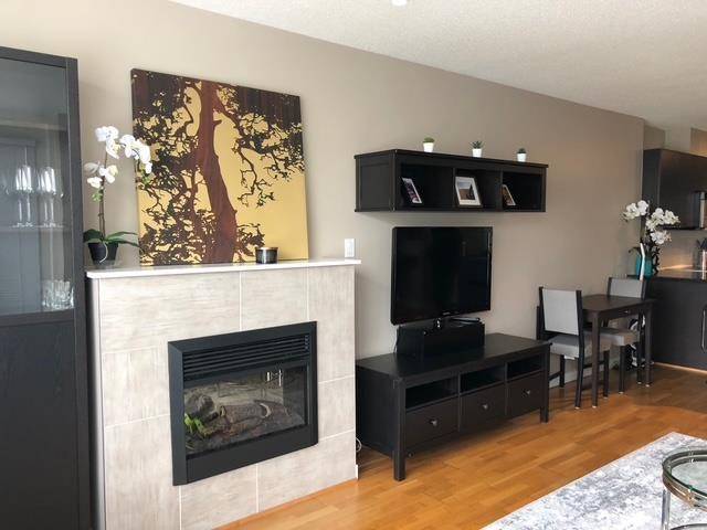 Burnaby, BC V5C 0A4,4178 Dawson ST #1707