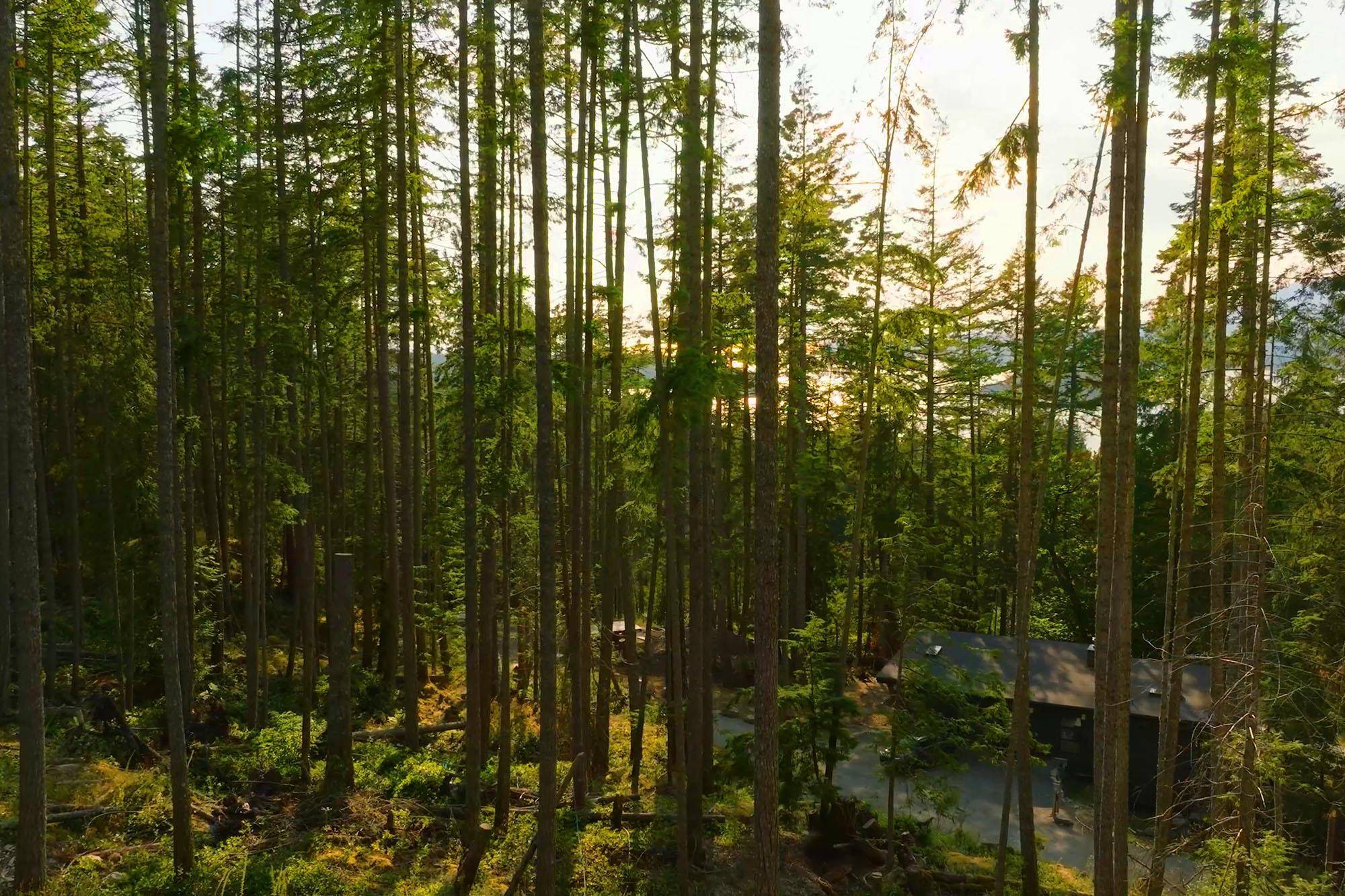 Bowen Island, BC V0N 1G2,786 Hayes RD