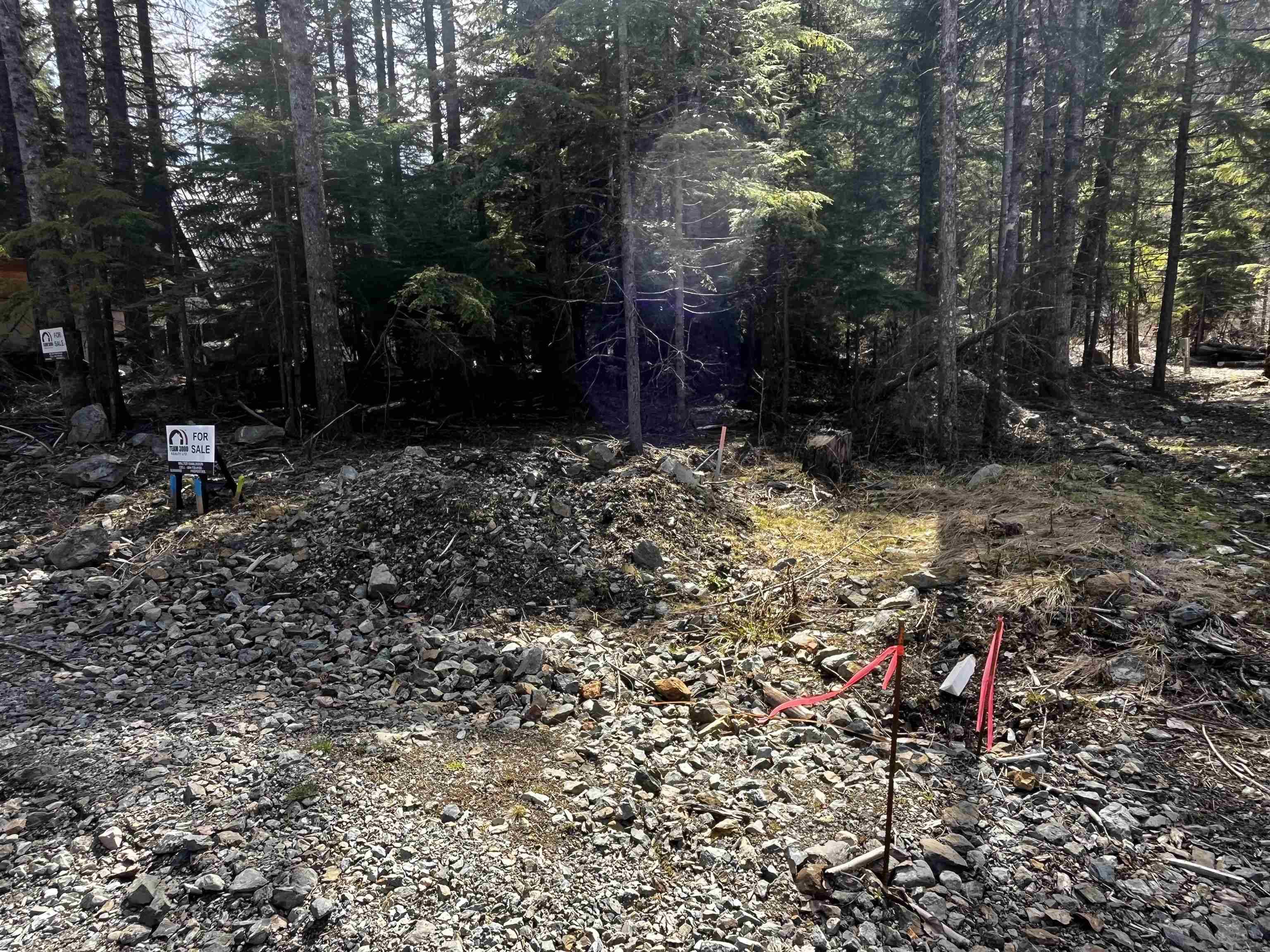 Sunshine Valley, BC V0X 1L5,SVE29 Old Hope Princeton HWY