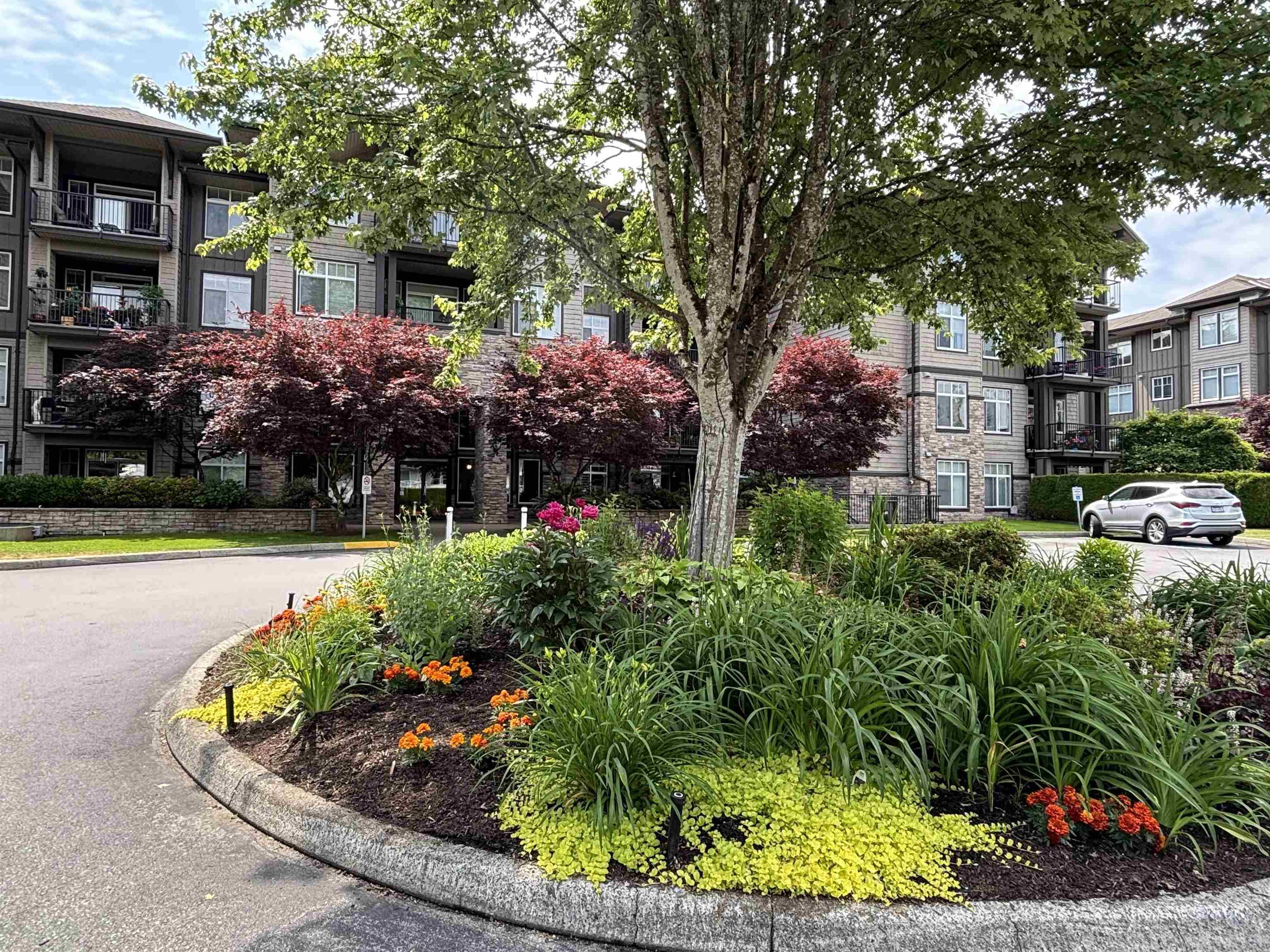 Maple Ridge, BC V2X 6B8,12268 224 ST #311