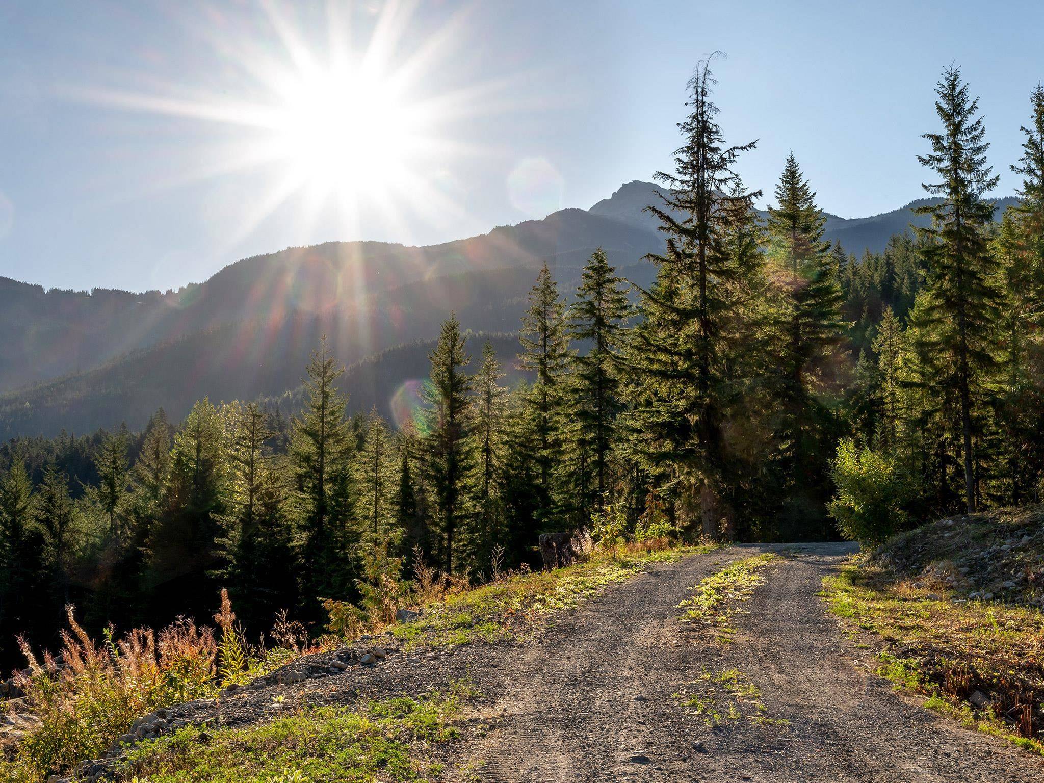 Whistler, BC V8E 0A2,1625 Southlands LN