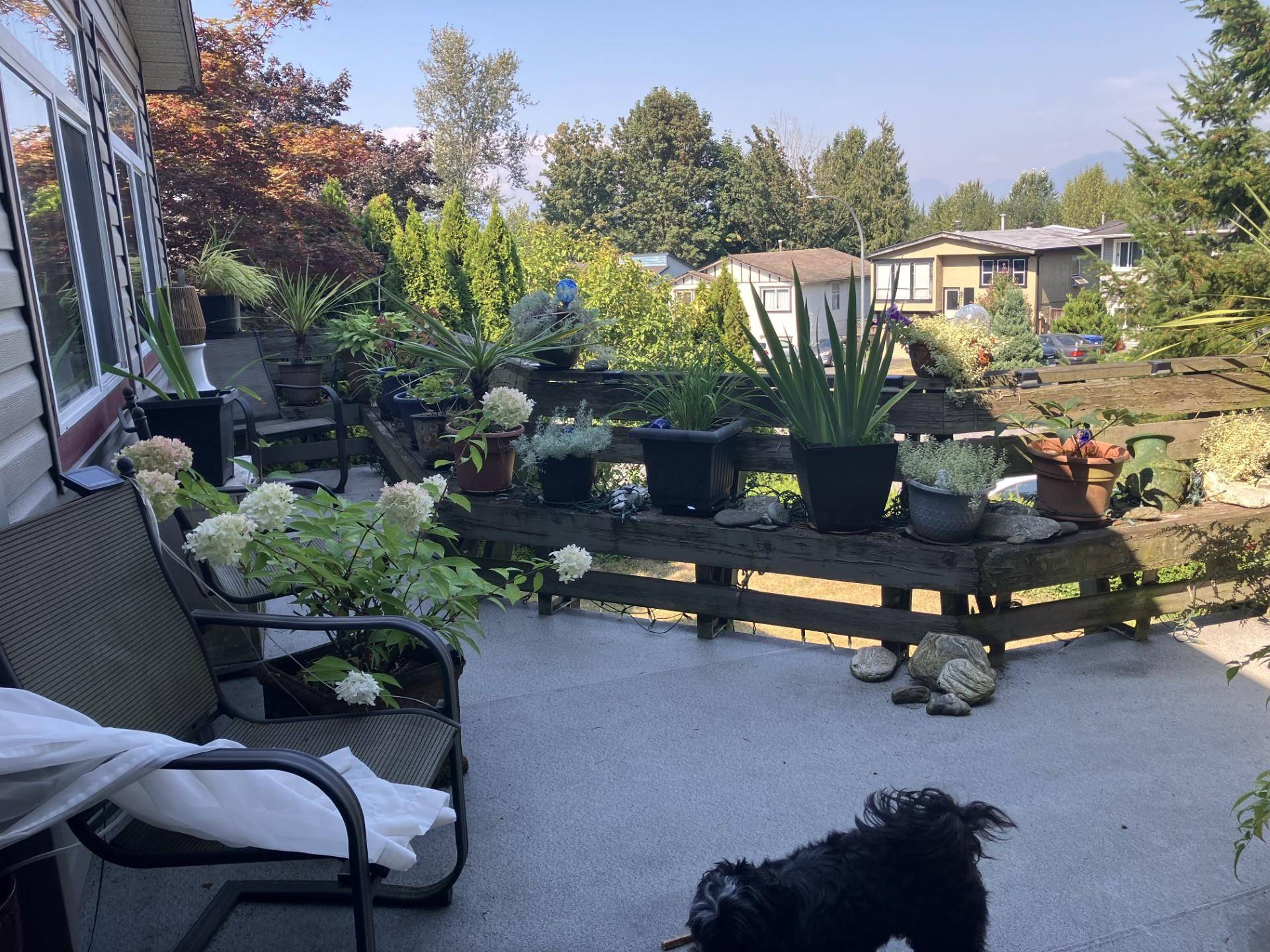 Abbotsford, BC V2S 7R1,3470 Juniper CRES