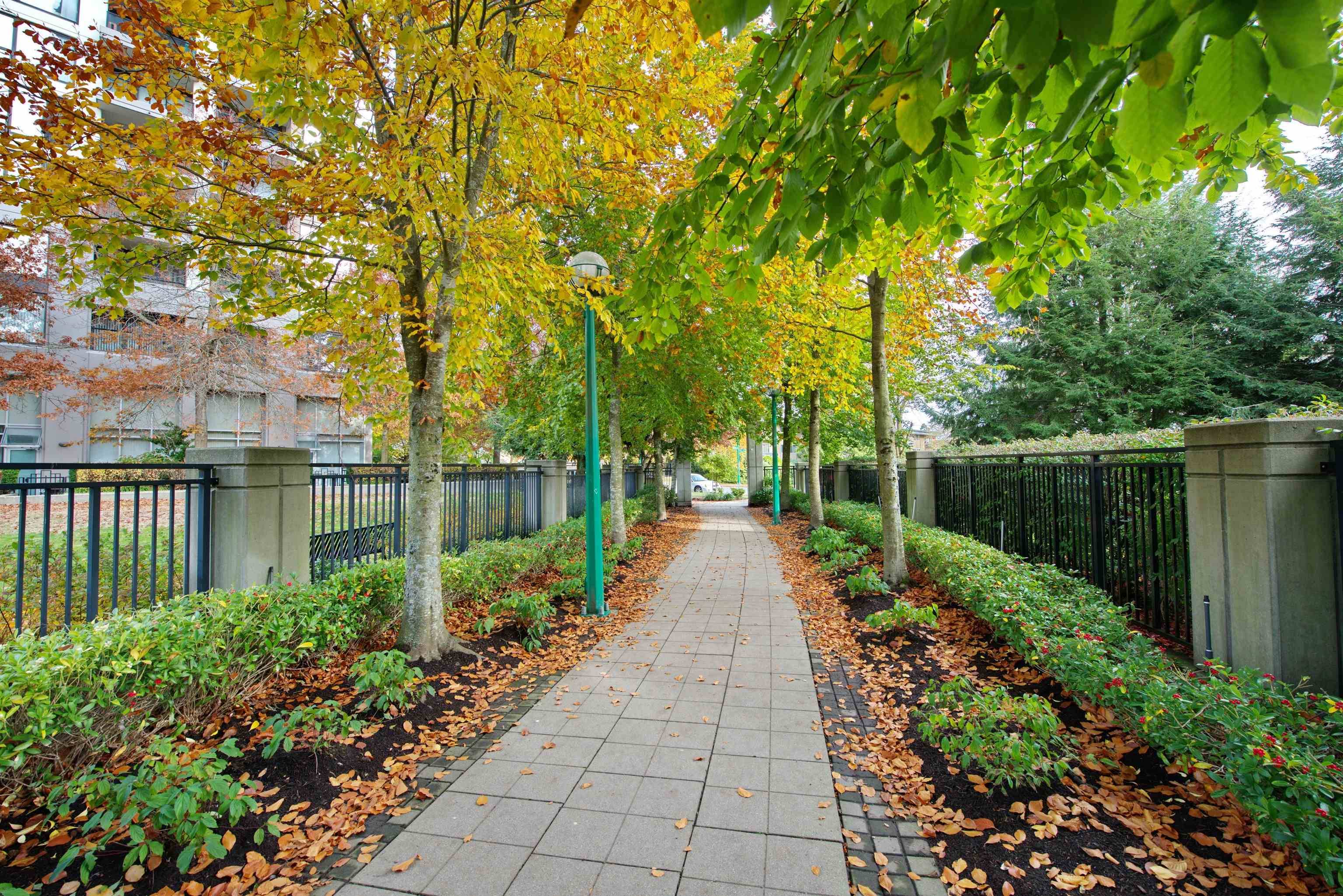 Burnaby, BC V5E 0A5,7063 Hall AVE #301