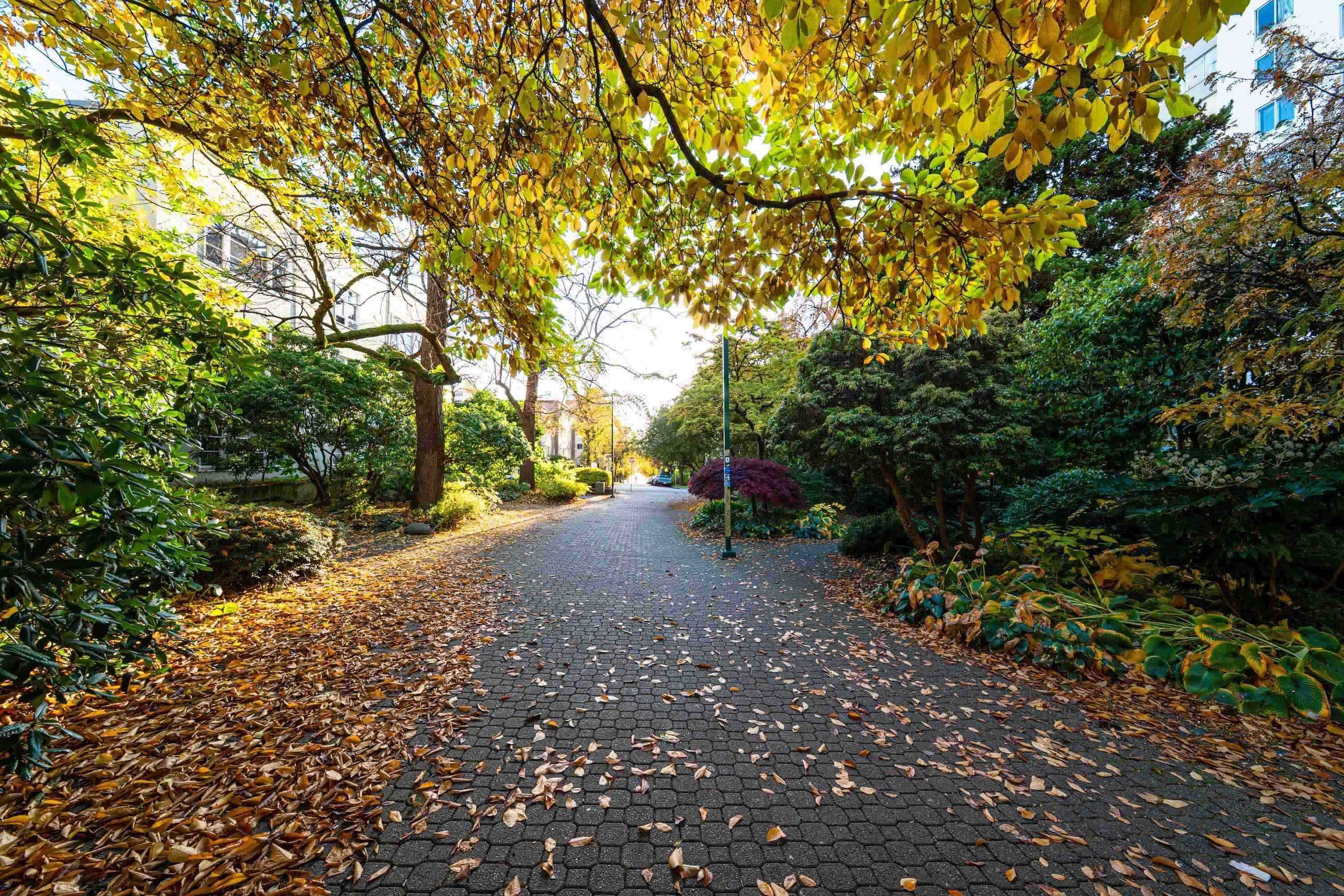 Vancouver, BC V6G 2H9,1251 Cardero ST #402