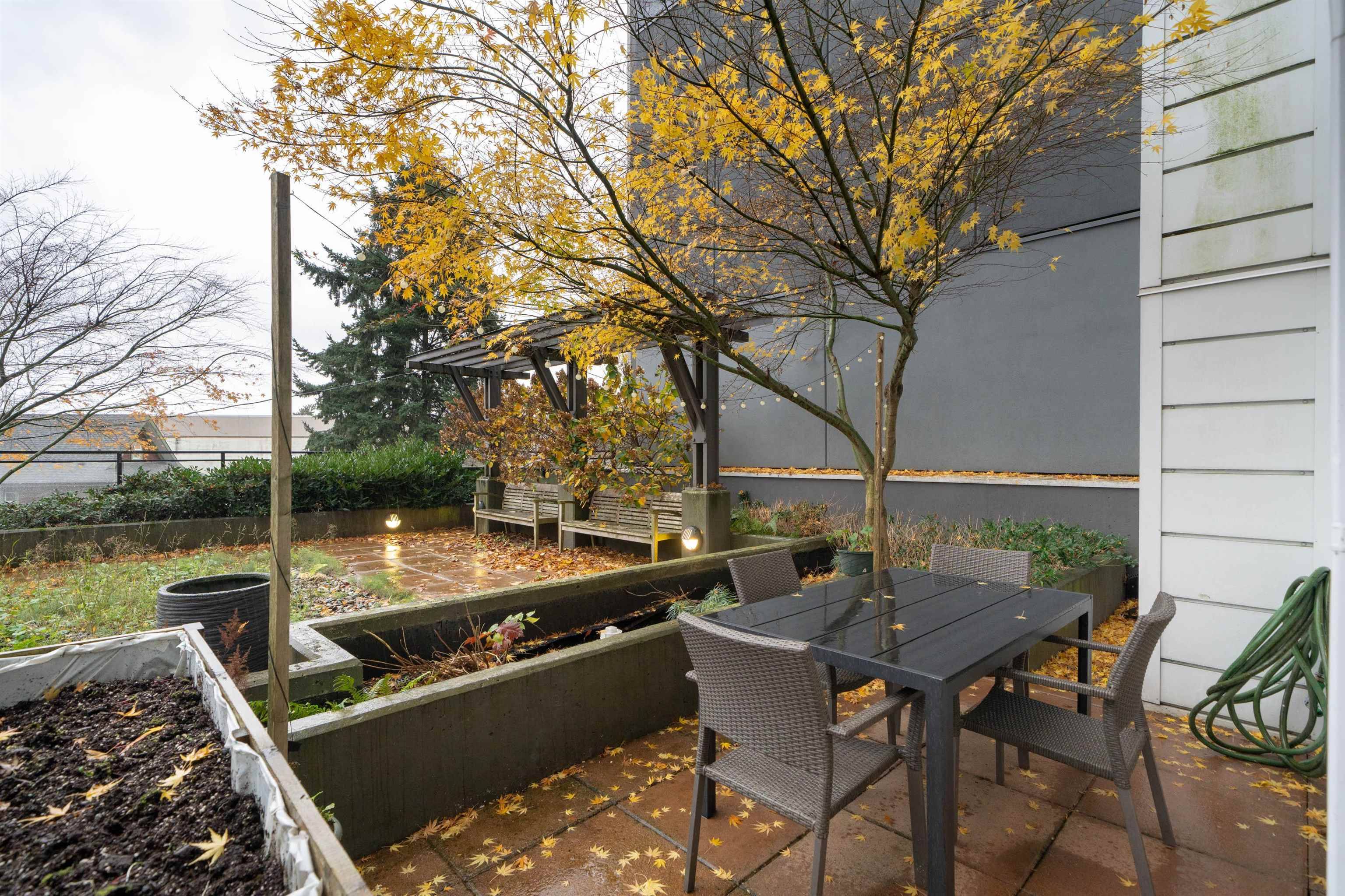 Vancouver, BC V5T 3J5,233 Kingsway #209