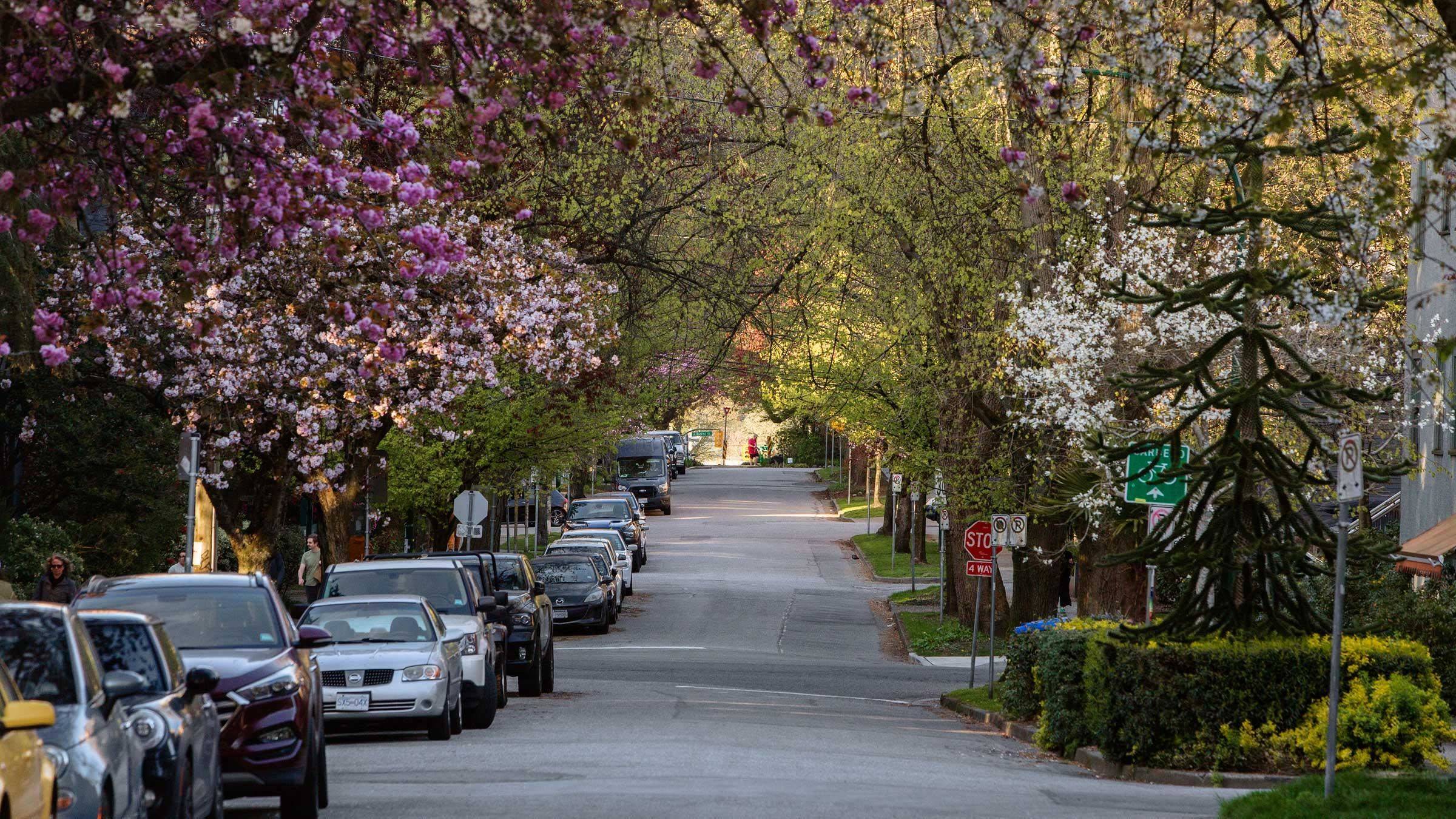 Vancouver, BC V6G 1M2,1535 Nelson ST #201