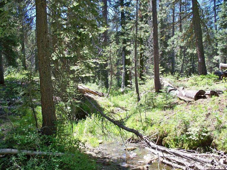 Soda Springs, CA 95728,51245 Catherine Ann