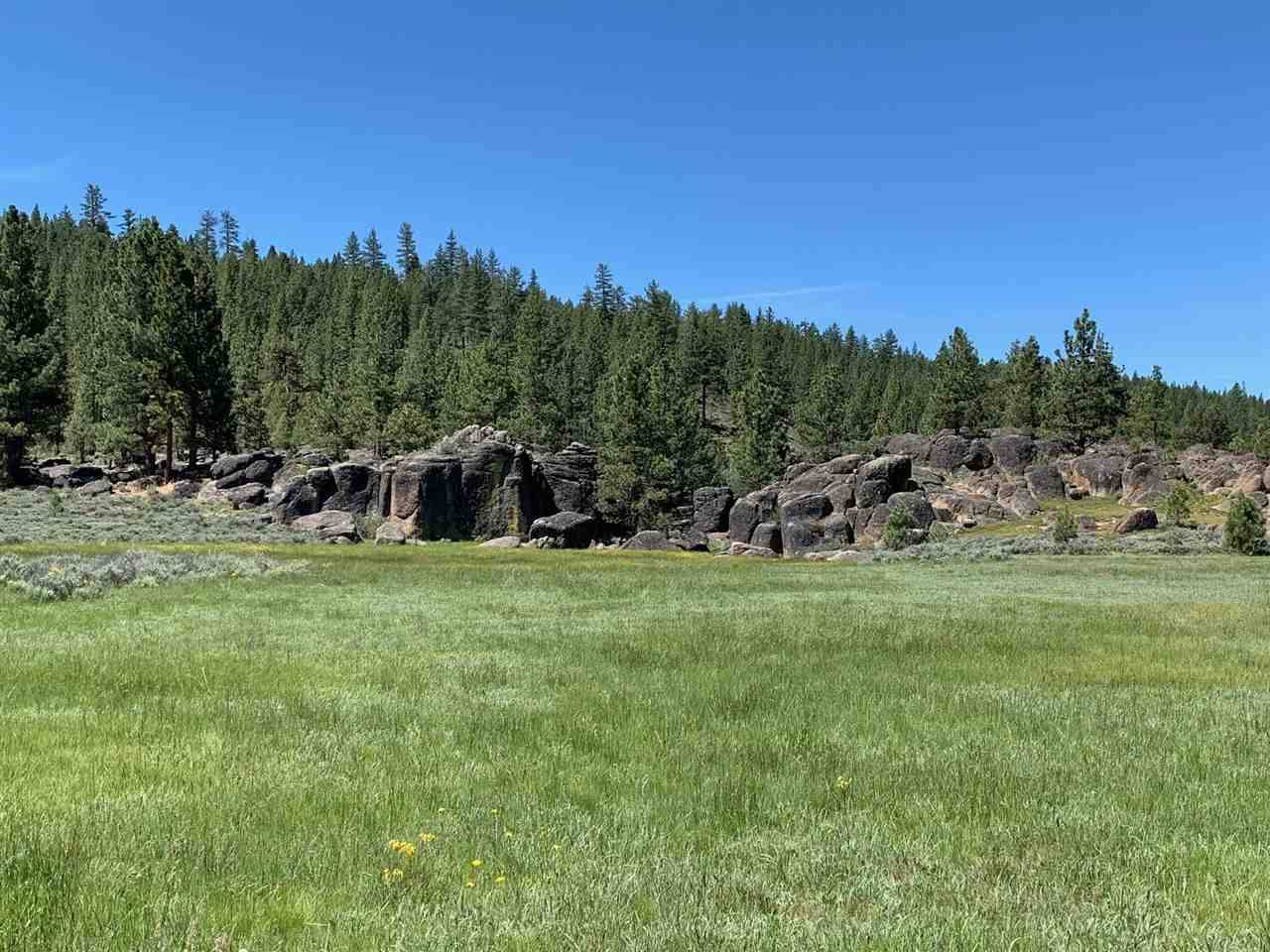 Chilcoot, CA 96105-0000,00 Frenchman Lake Rd.