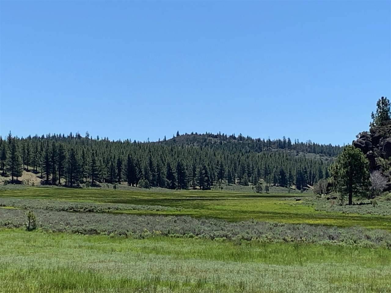 Chilcoot, CA 96105-0000,00 Frenchman Lake Rd.