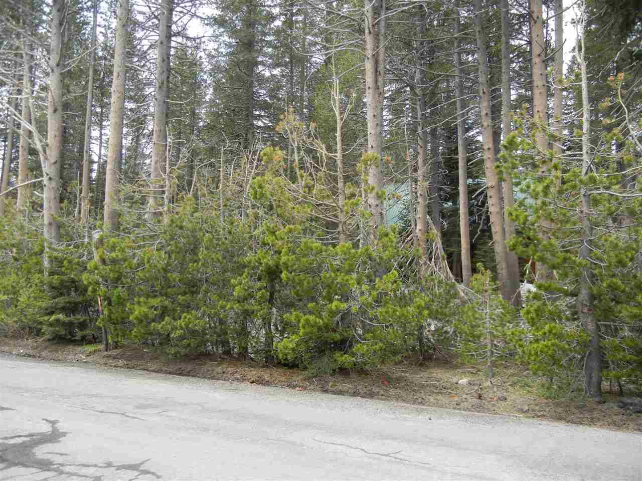 Soda Springs, CA 95724,6194 Serene Road