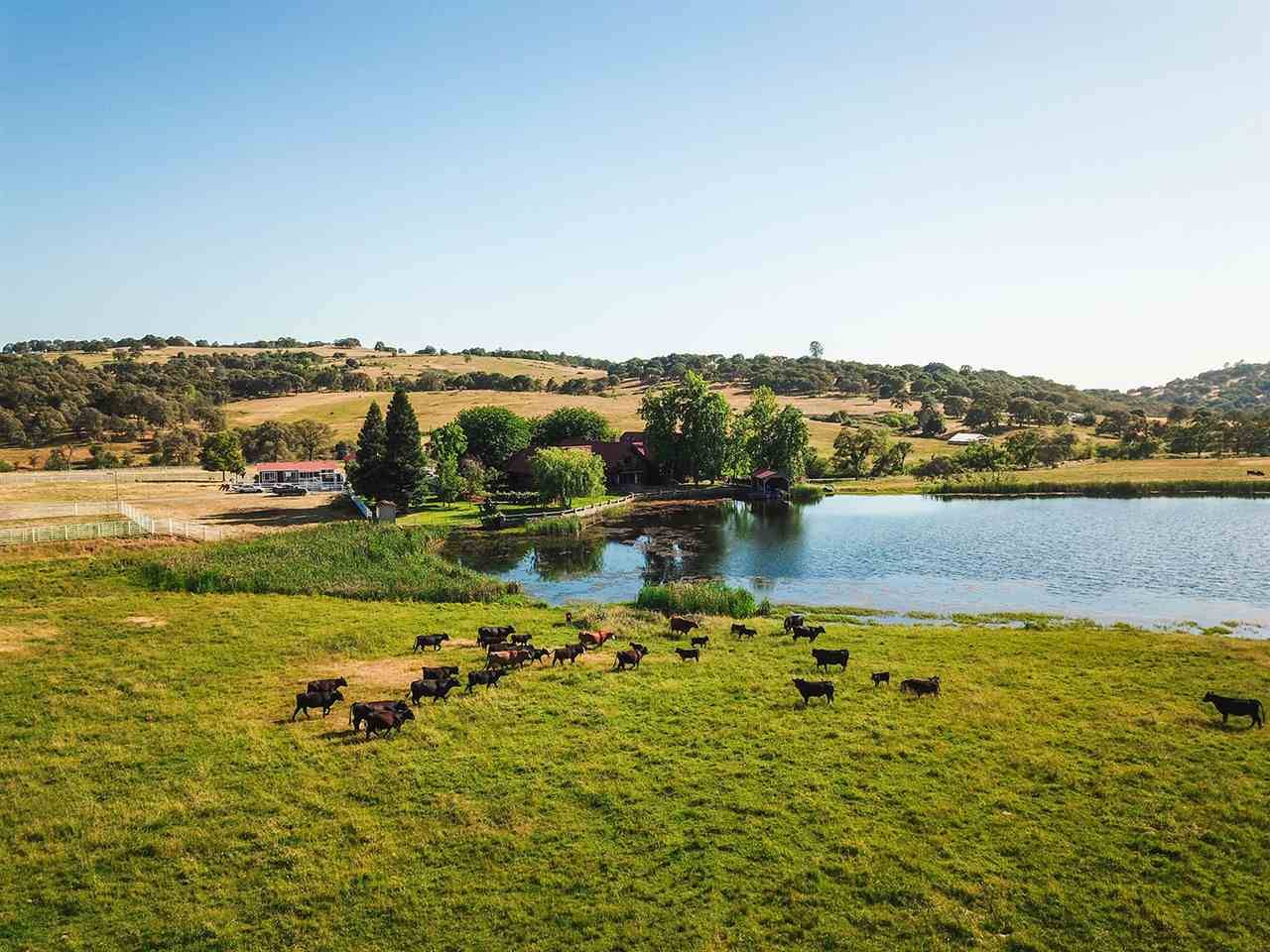 Grass Valley, CA 95945-8154,18566 Rosemary Lane