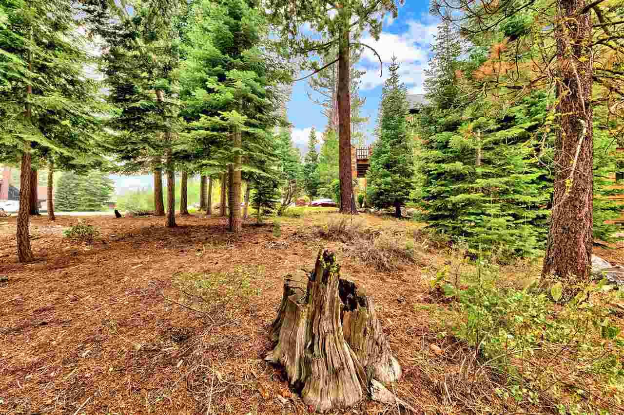 Olympic Valley, CA 96146,132 Rock Garden Court