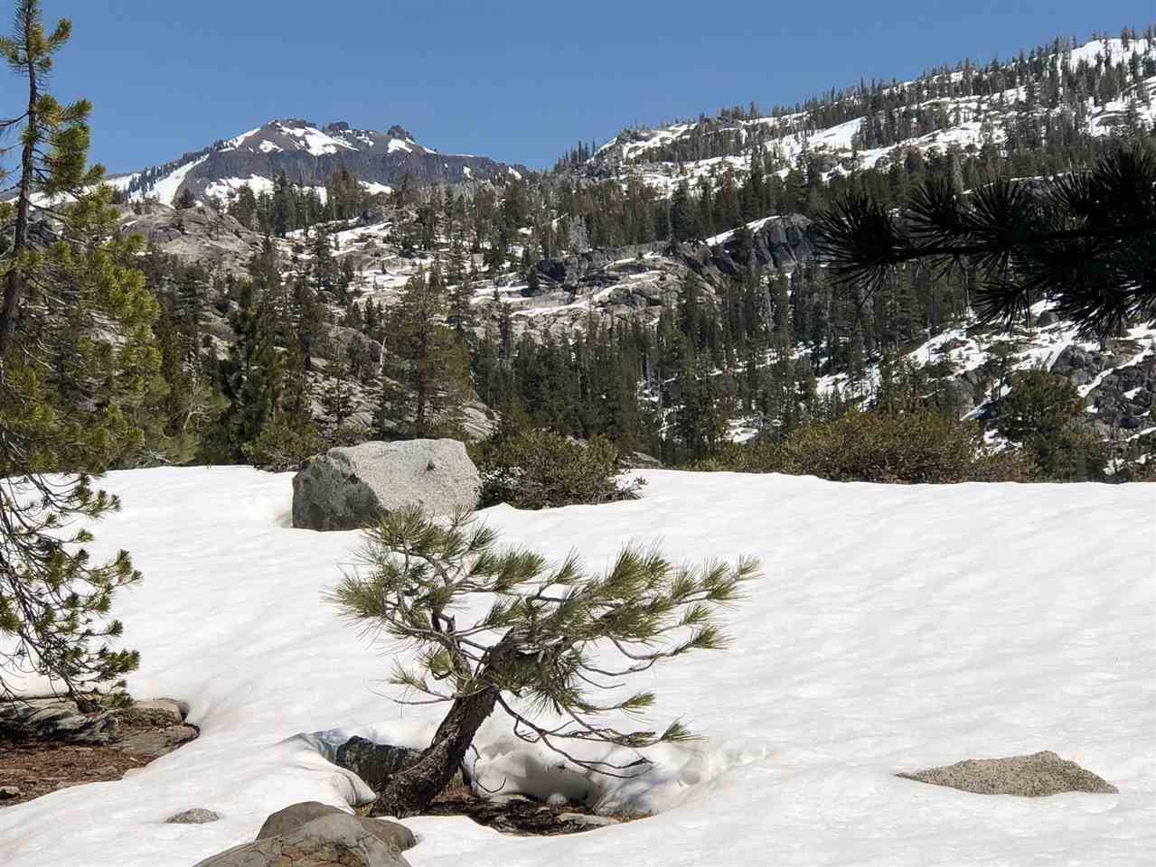 Soda Springs, CA 95728,11667 Lola Montez Road