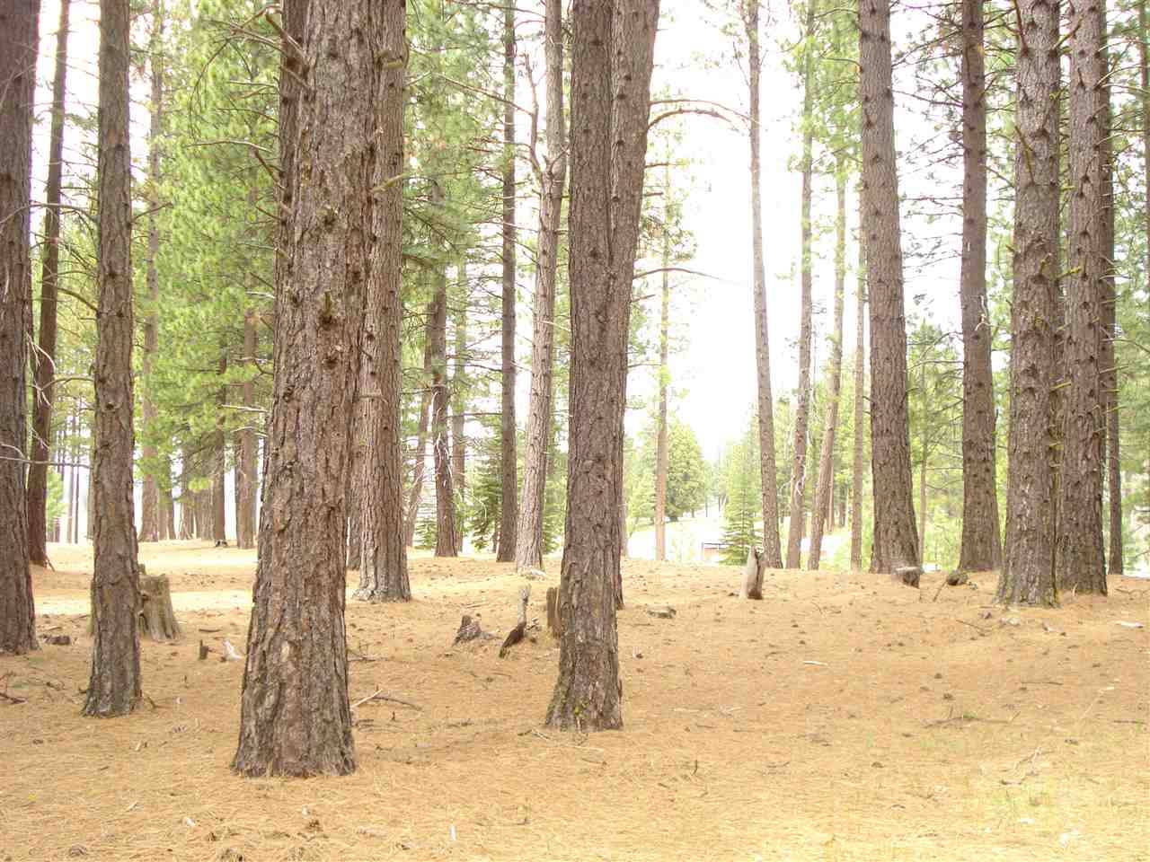 Clio, CA 96106,57 Quail View Circle