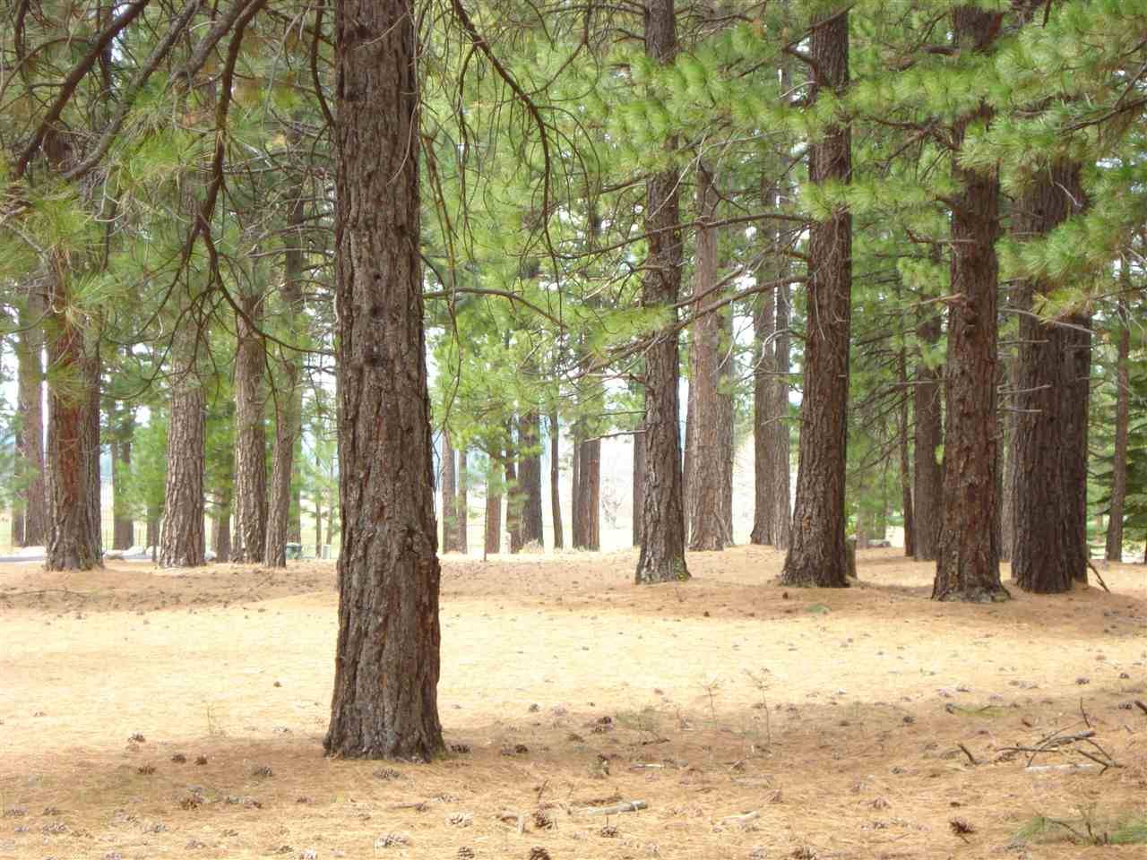Clio, CA 96106,57 Quail View Circle
