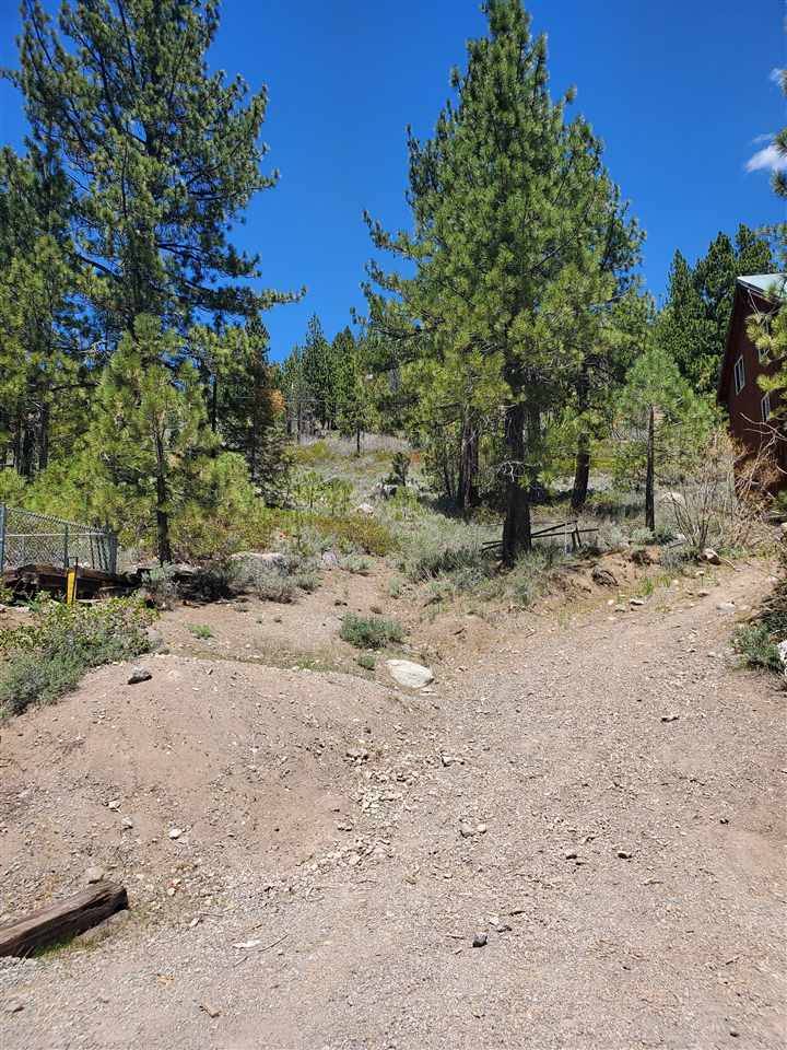 Truckee, CA 96161,15062 Reed Avenue