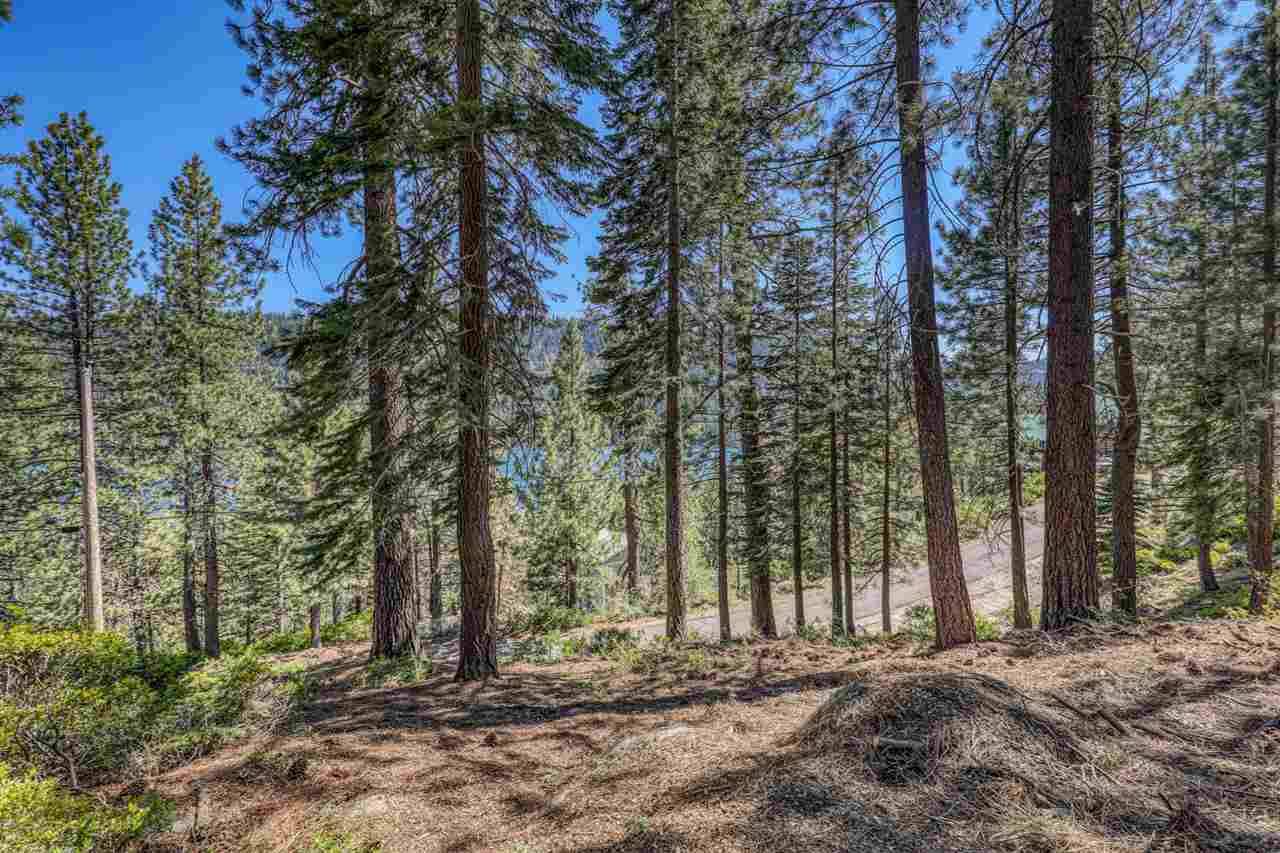 Truckee, CA 96161,14782 Denton Avenue