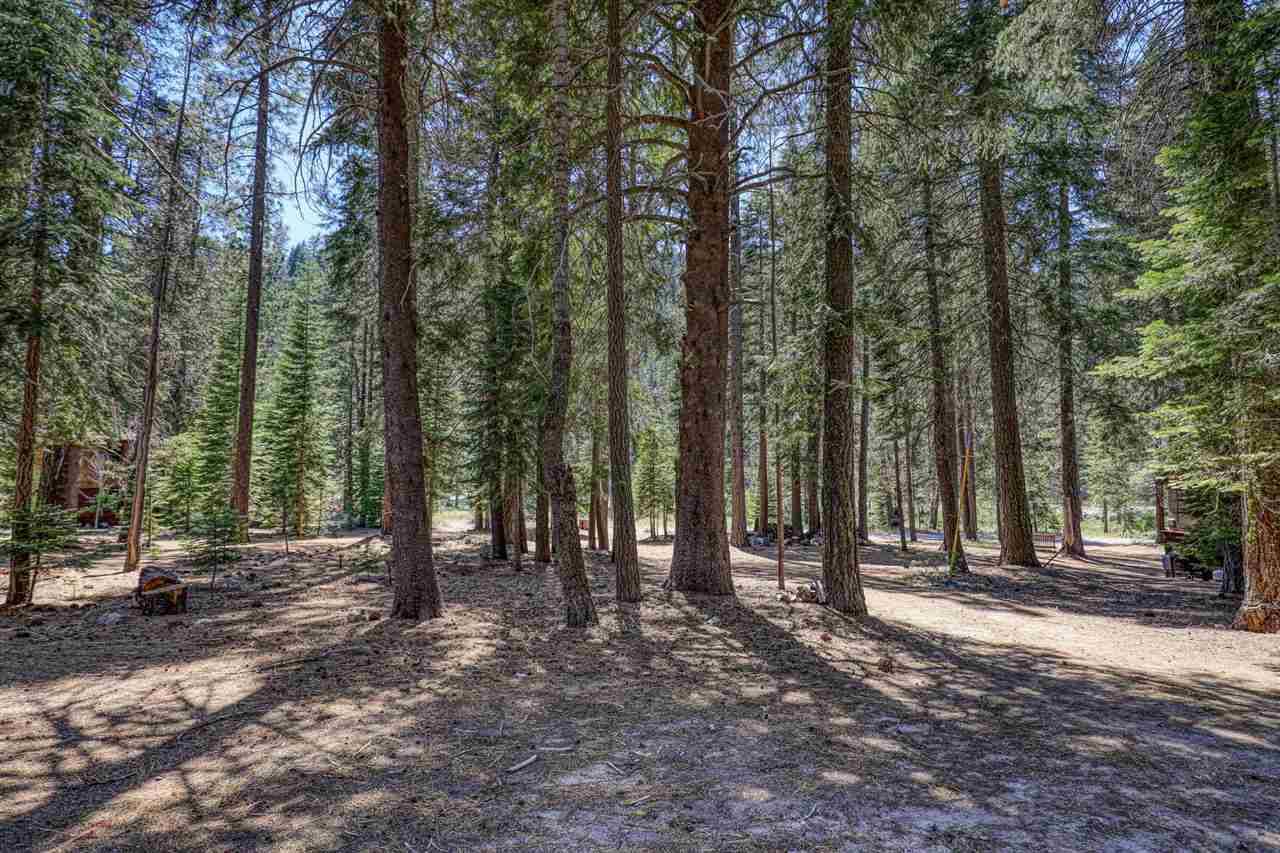 Truckee, CA 96161,0000 River Road