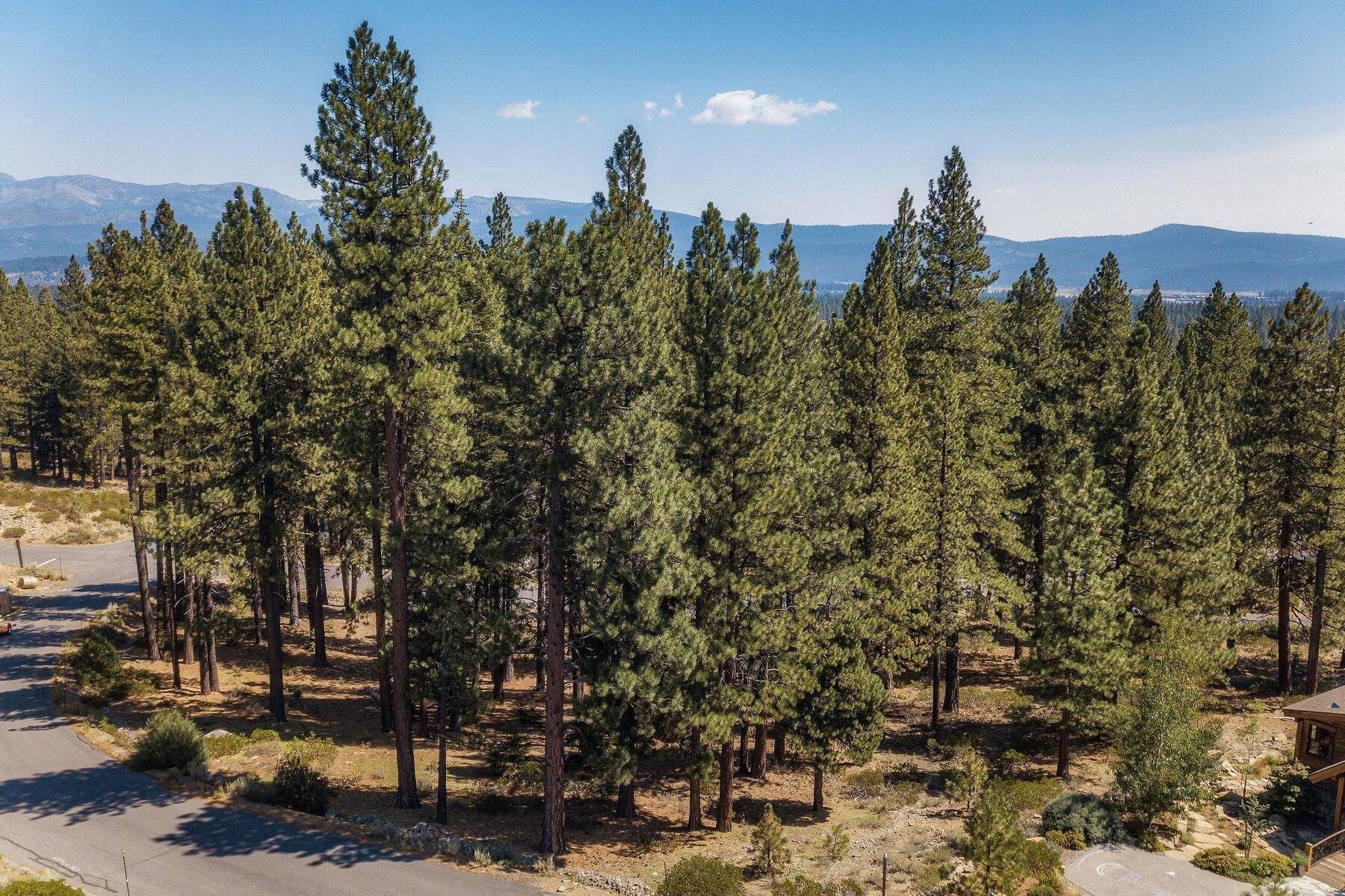 Truckee, CA 96161,11728 China Camp Road