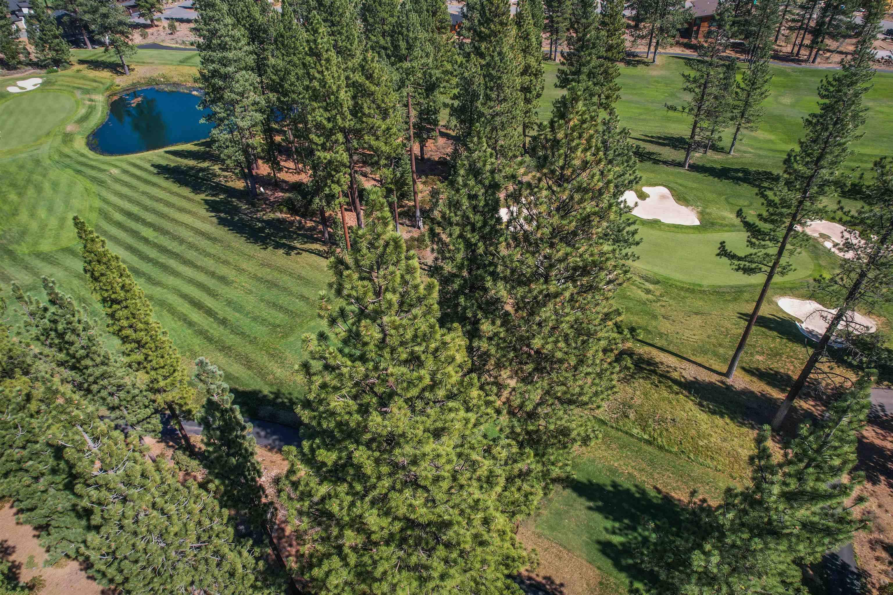 Truckee, CA 96161,9281 Heartwood Drive