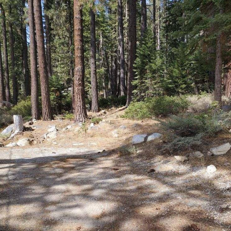 Soda Springs, CA 95728,51082 Jeffery Pine Drive