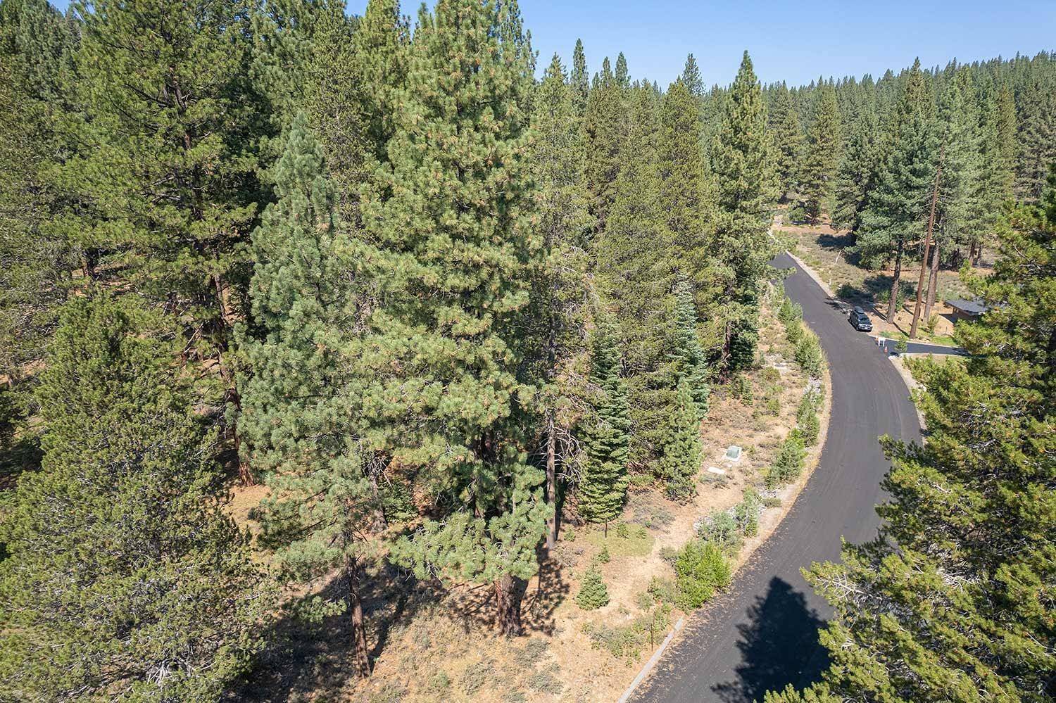 Truckee, CA 96161,11830 Bottcher Loop