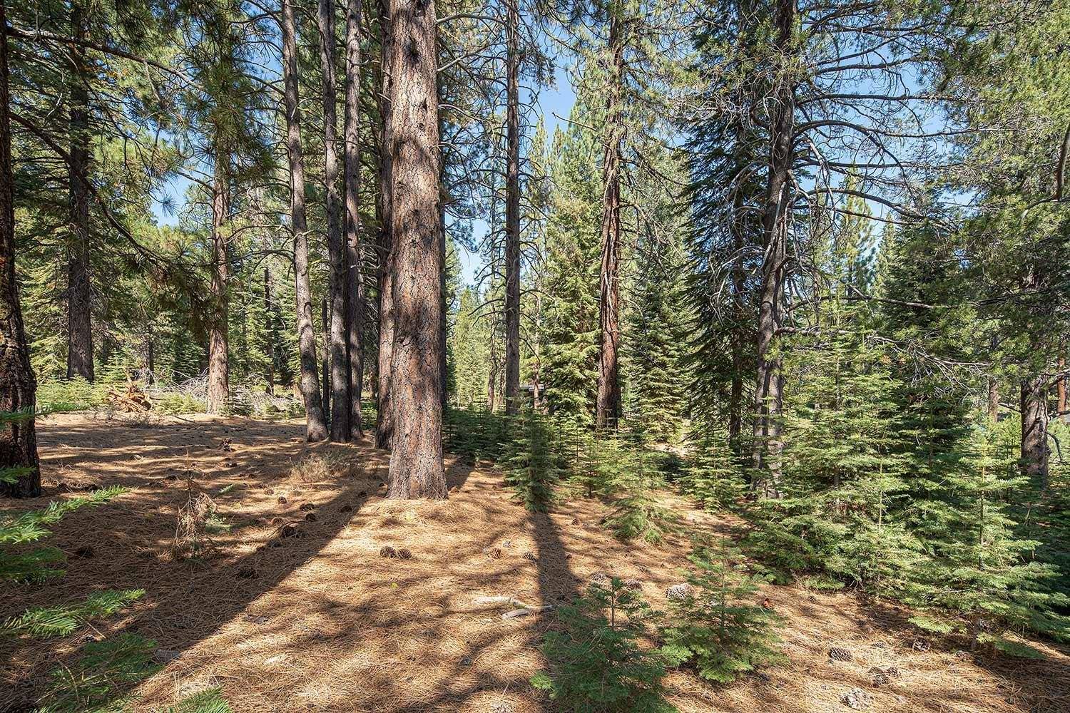 Truckee, CA 96161,11830 Bottcher Loop