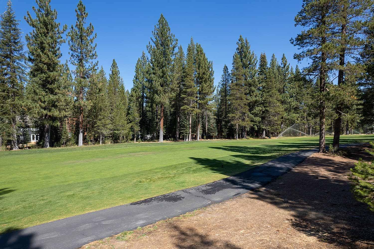 Truckee, CA 96161-0000,14096 Ramshorn Street