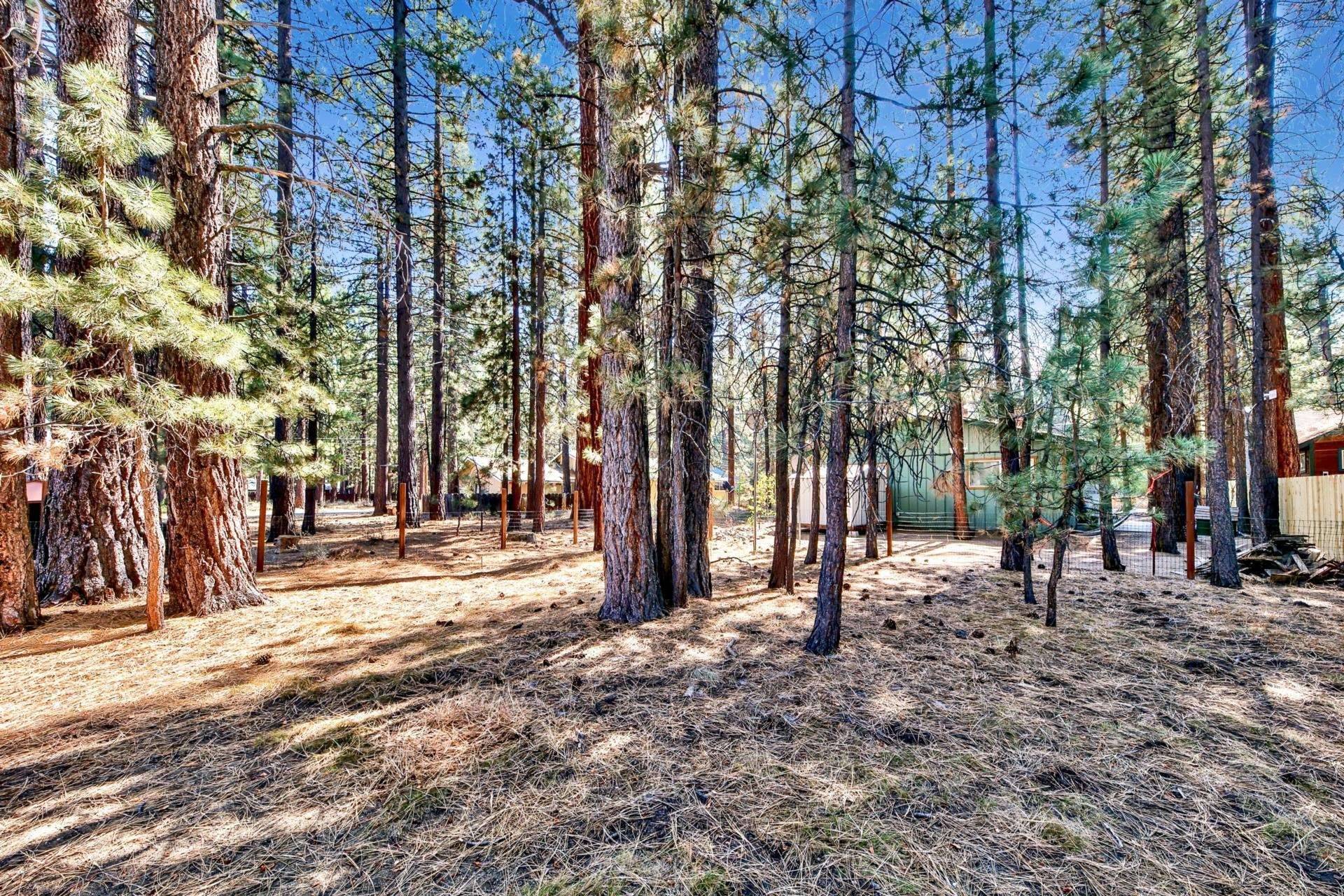 South Lake Tahoe, CA 96150,880 Los Angeles Avenue