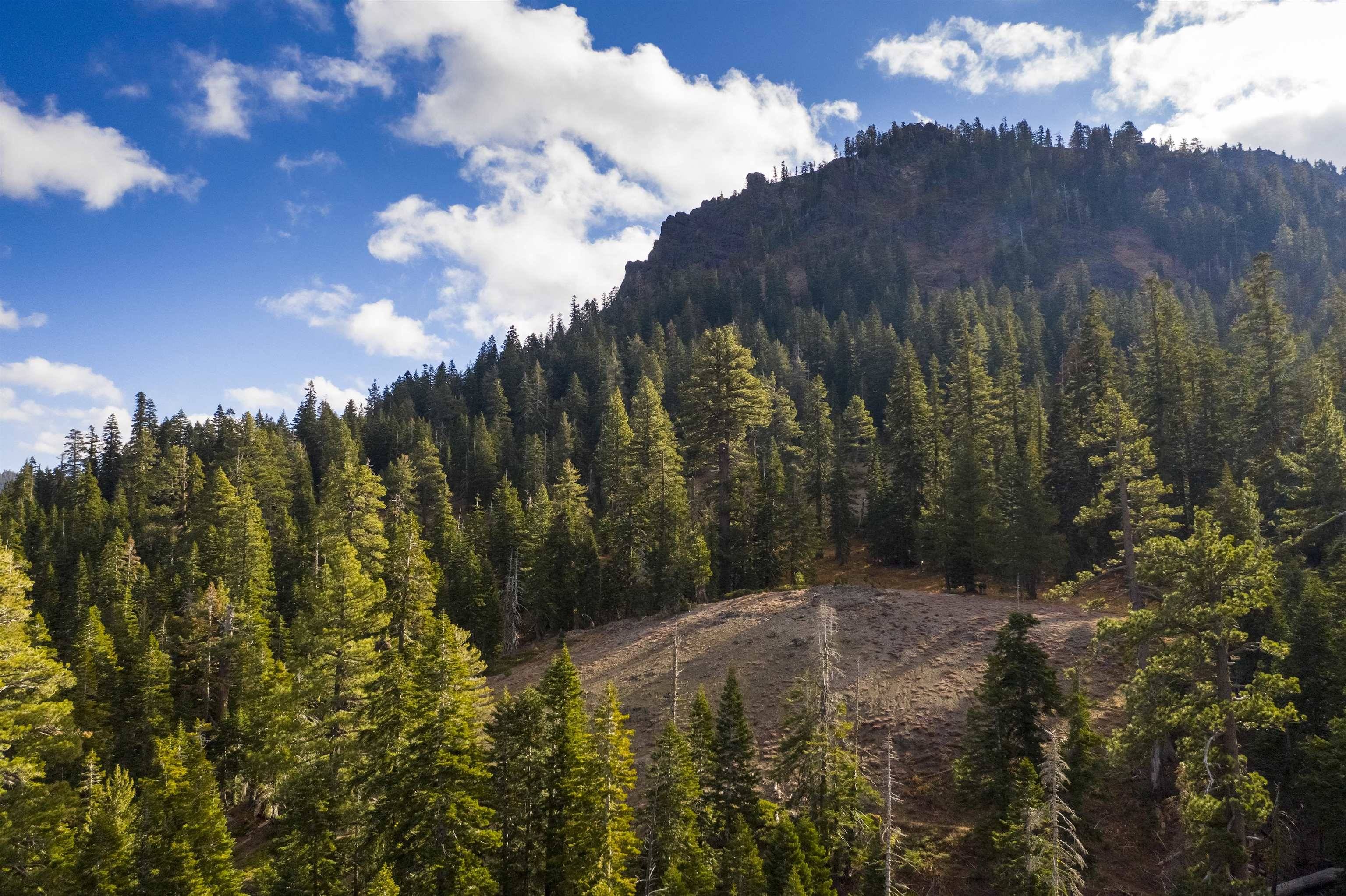 Alpine Meadows, CA 96146-9837,xxxxx Alpine Meadows Road