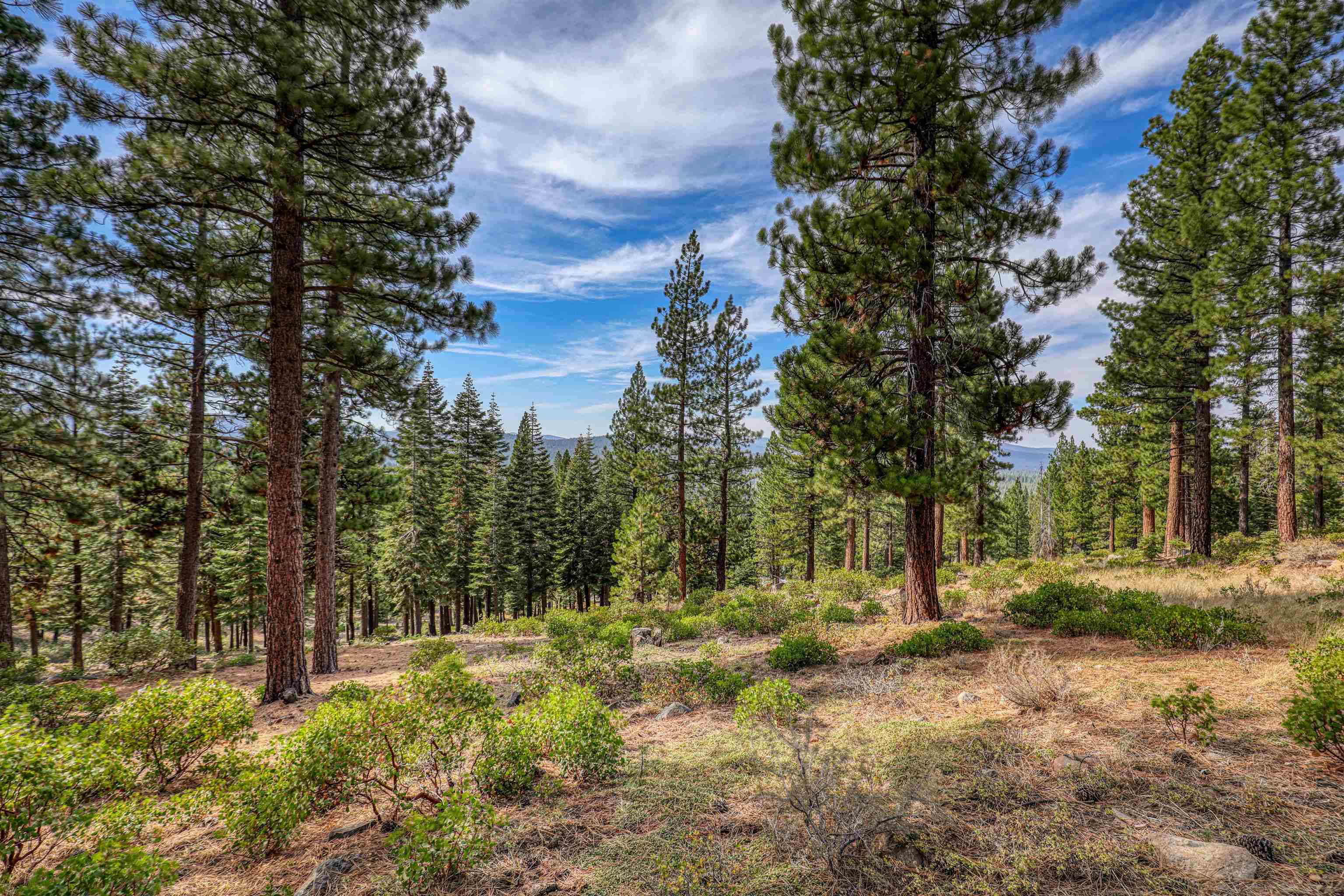 Truckee, CA 96161,2645 Mill Site Road