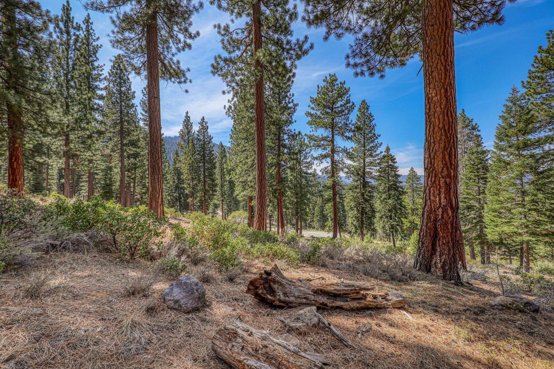 Truckee, CA 96161,2790 Cross Cut Court