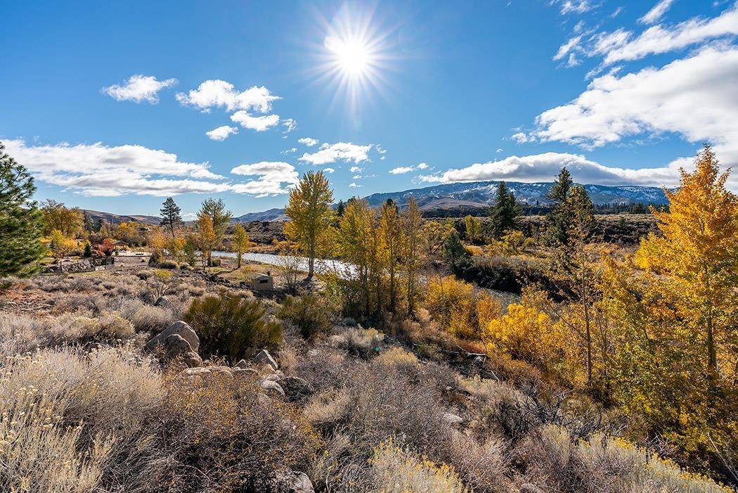 Verdi, NV 89439,56 Silver Lynx Way