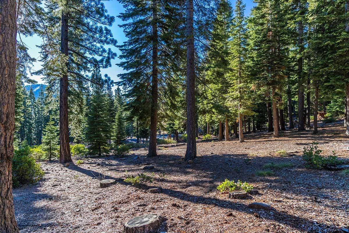 Truckee, CA 96161,8331 Valhalla Drive
